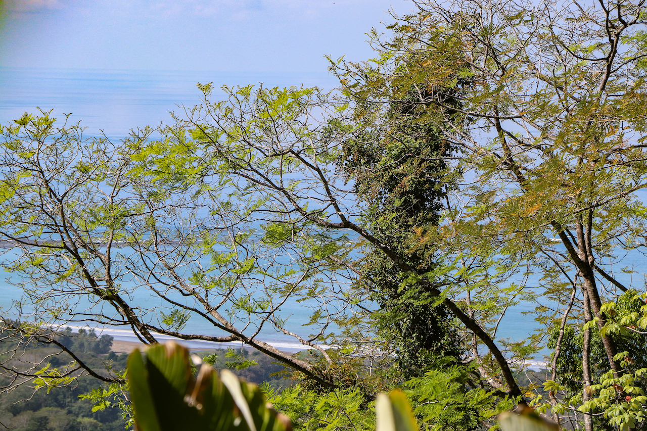 0 bed Land For Sale in Uvita, Puntarenas - thumb 6