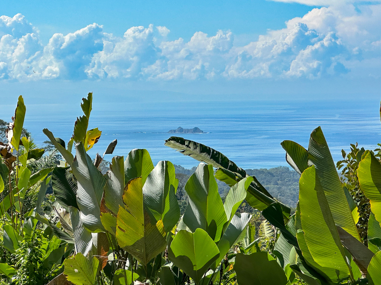 0 bed Land For Sale in Uvita, Puntarenas - thumb 5