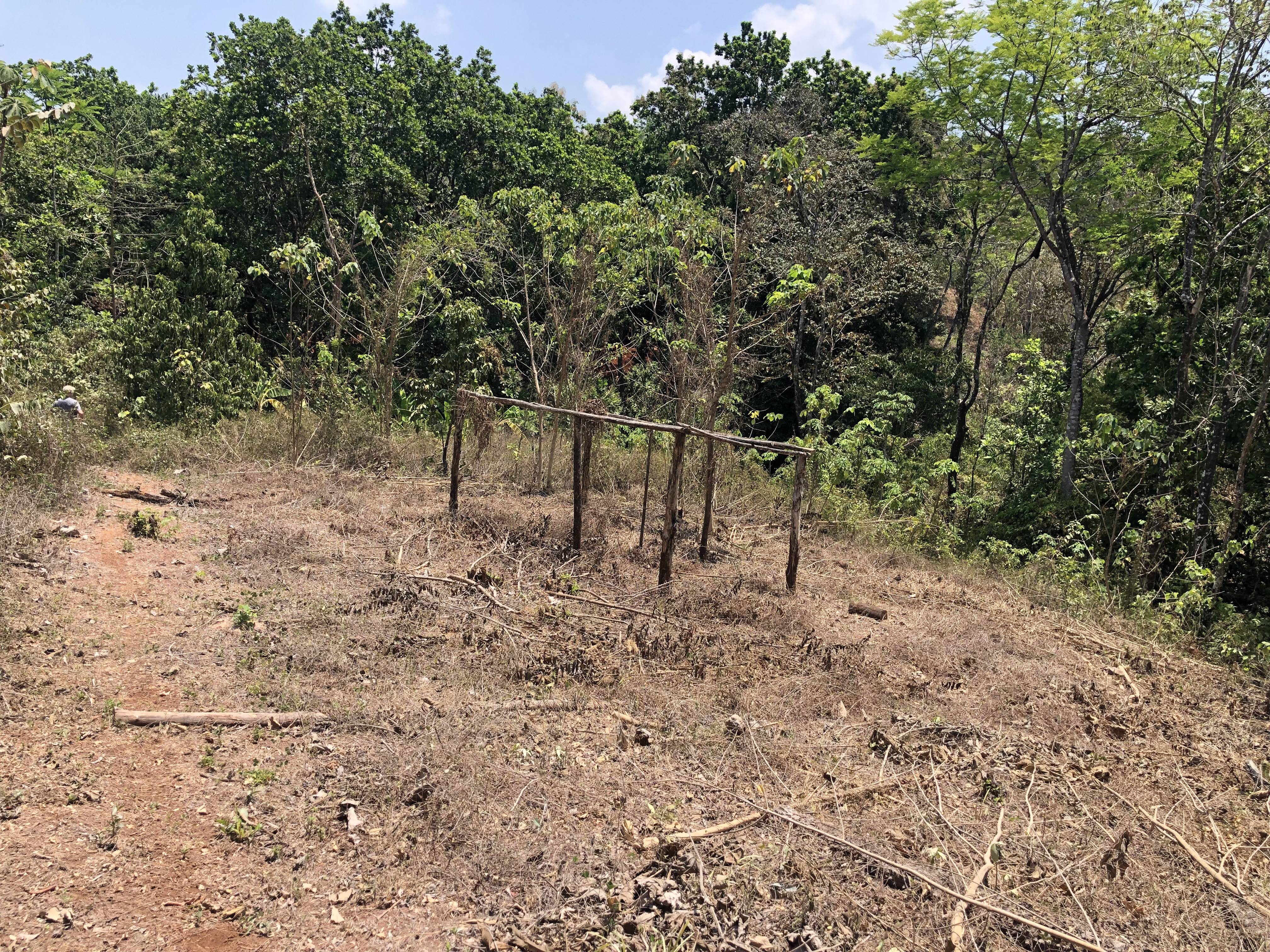 0 bed Land For Sale in Samara, Guanacaste - thumb 12