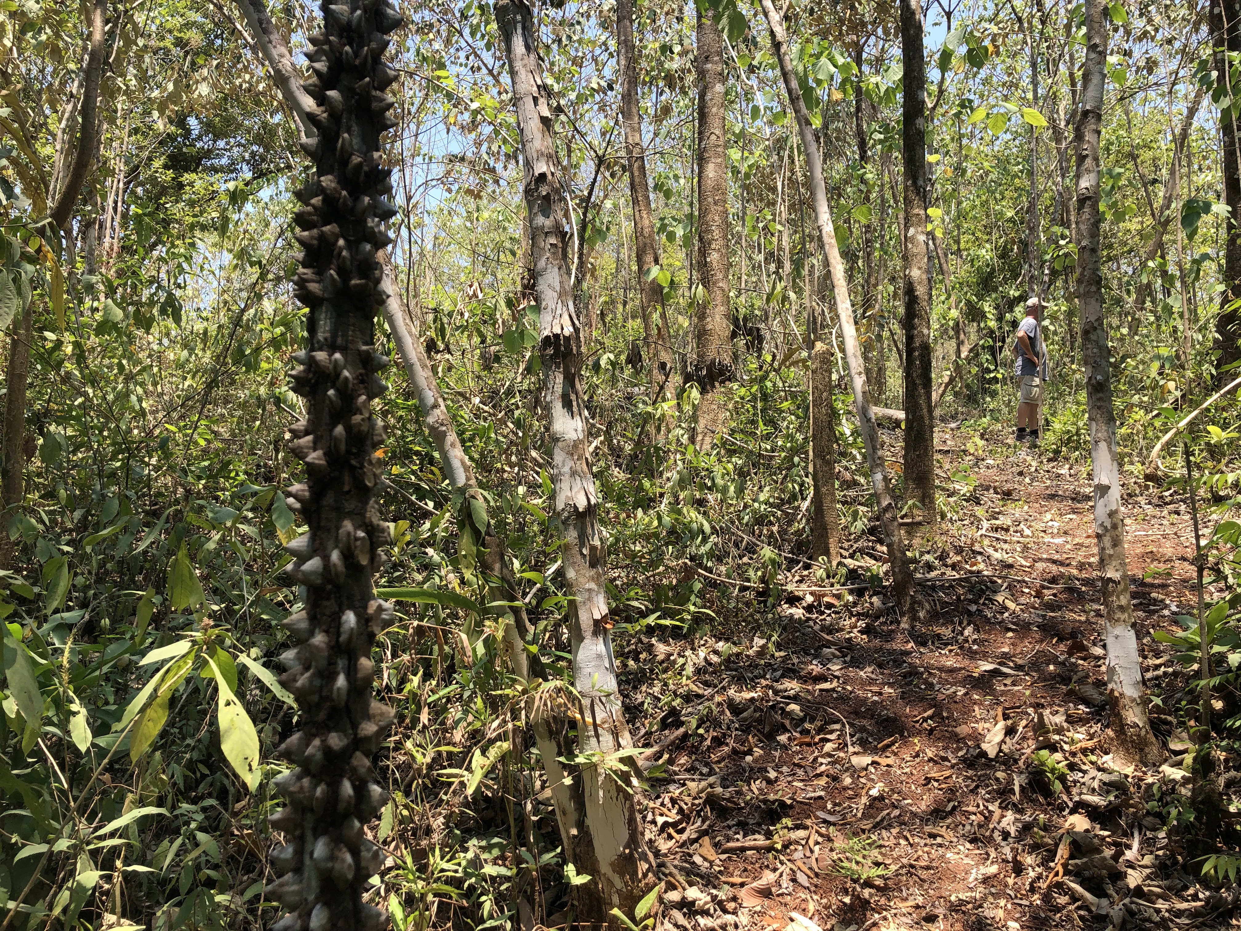 0 bed Land For Sale in Samara, Guanacaste - thumb 5