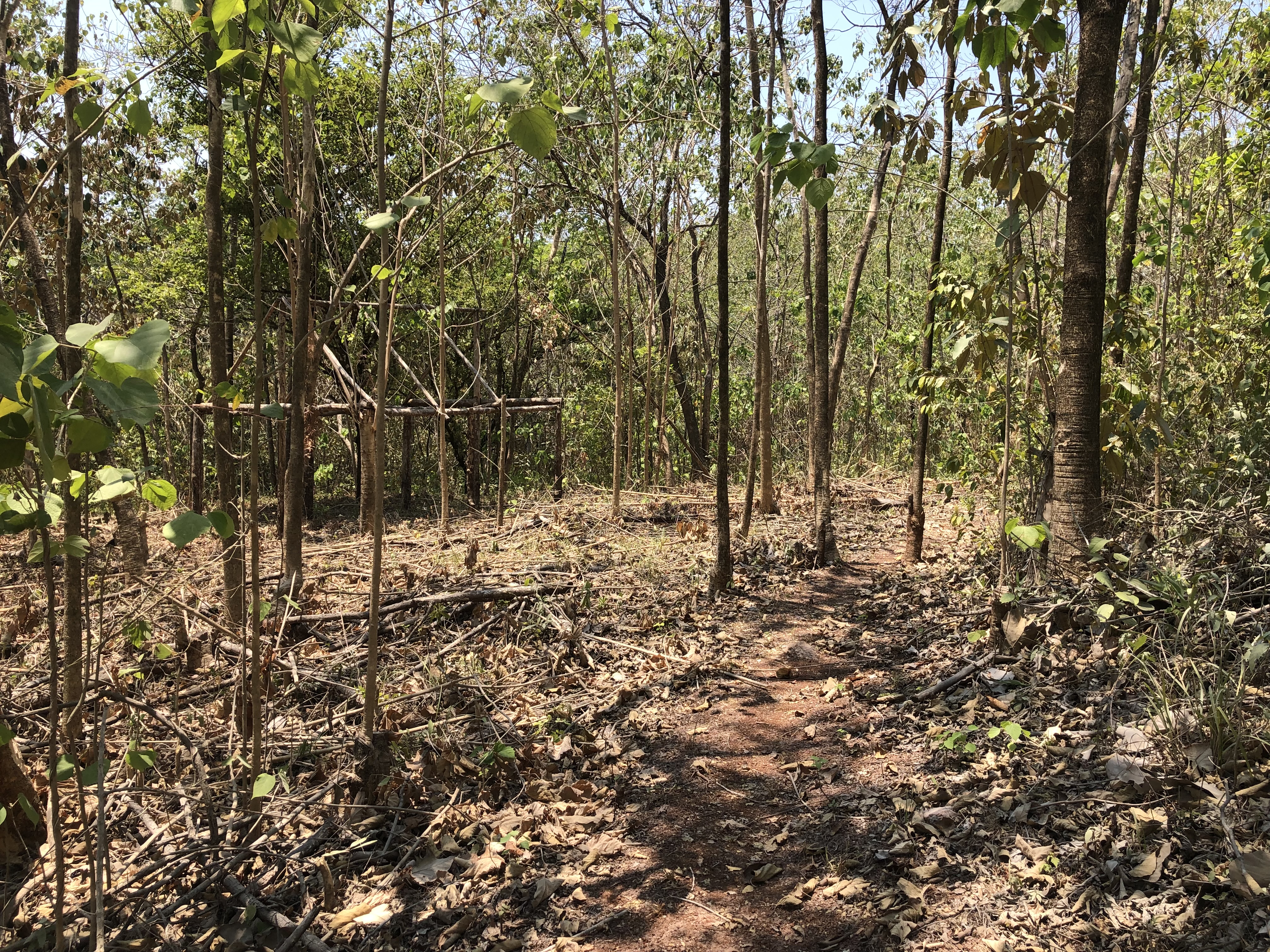 0 bed Land For Sale in Samara, Guanacaste - thumb 9