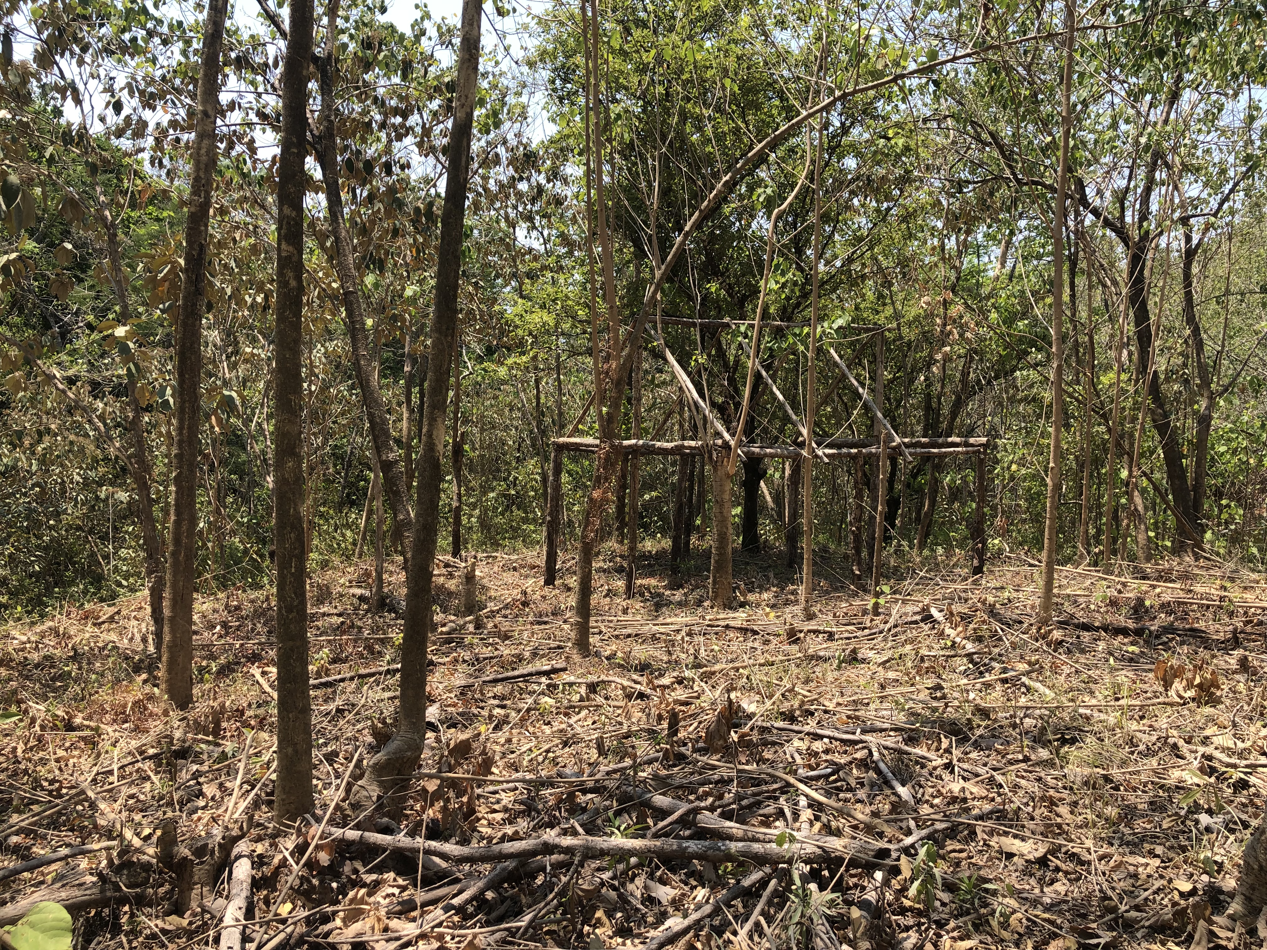 0 bed Land For Sale in Samara, Guanacaste - thumb 7