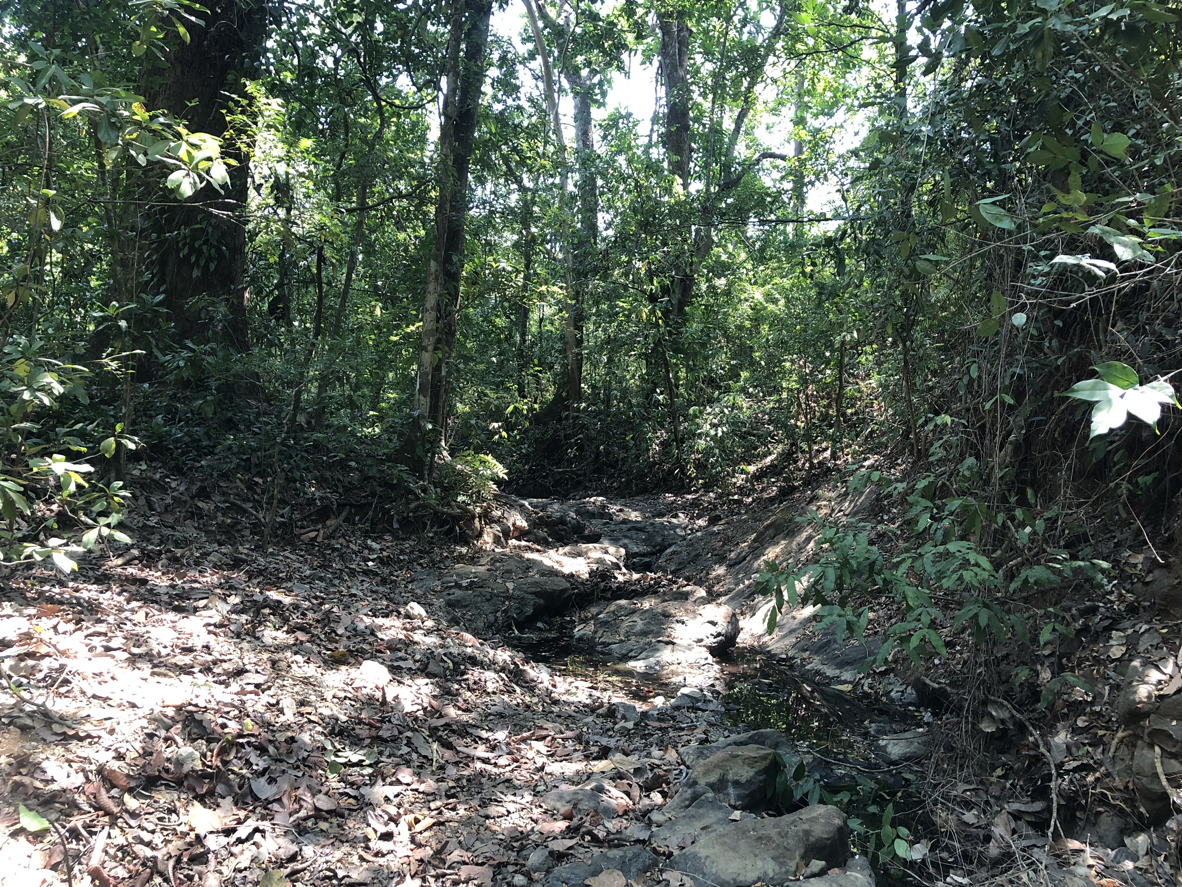 0 bed Land For Sale in Samara, Guanacaste - thumb 4