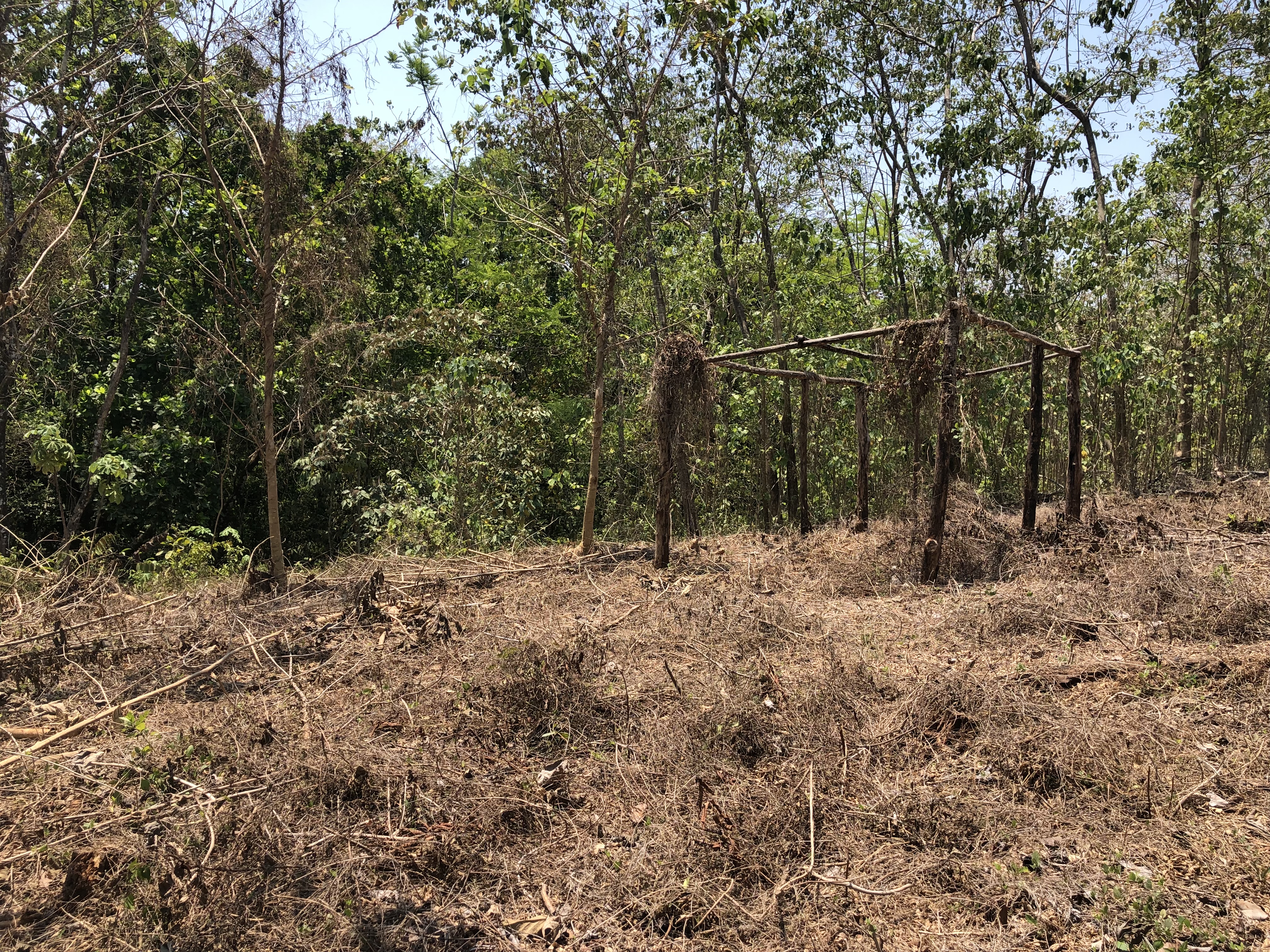 0 bed Land For Sale in Samara, Guanacaste - thumb 11