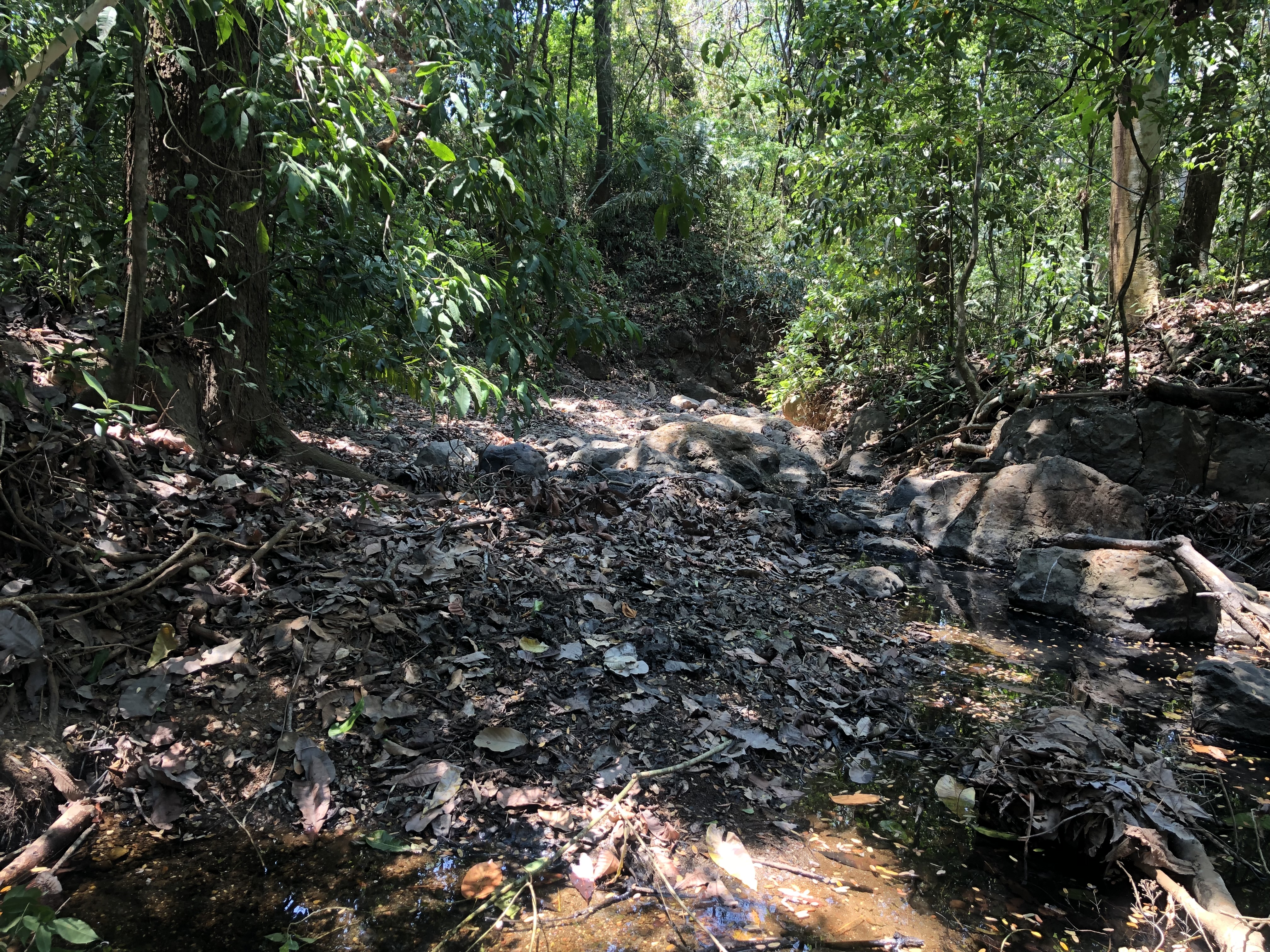 0 bed Land For Sale in Samara, Guanacaste - thumb 3