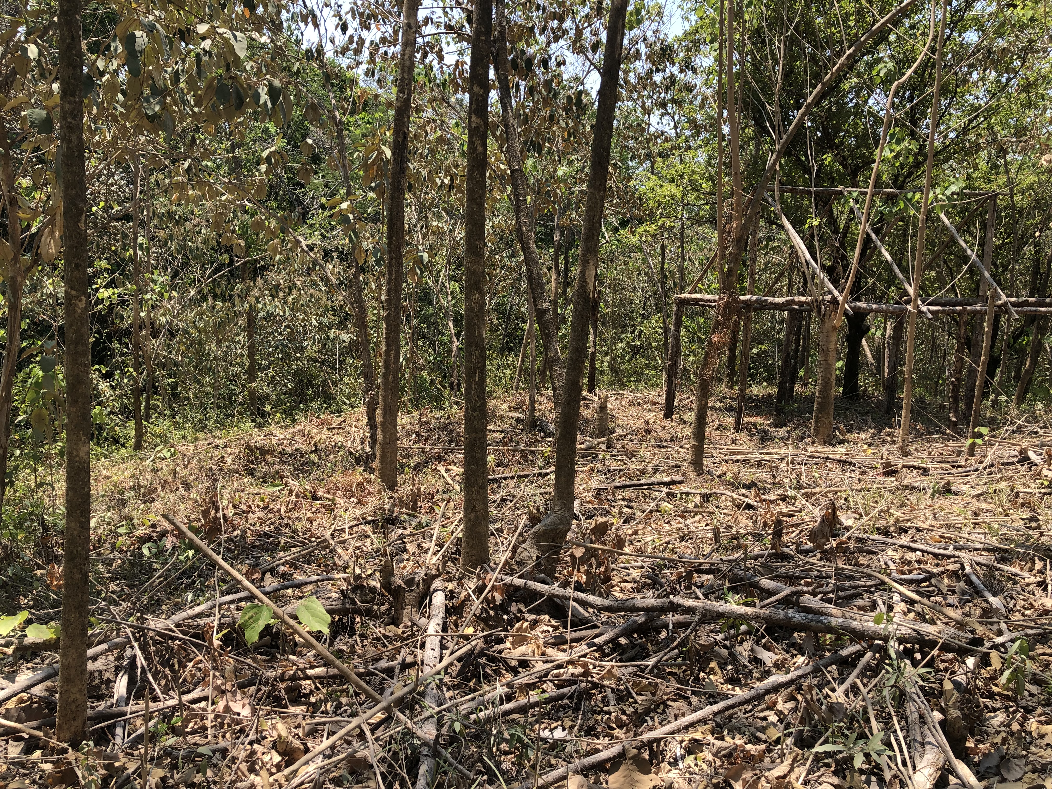 0 bed Land For Sale in Samara, Guanacaste - thumb 8