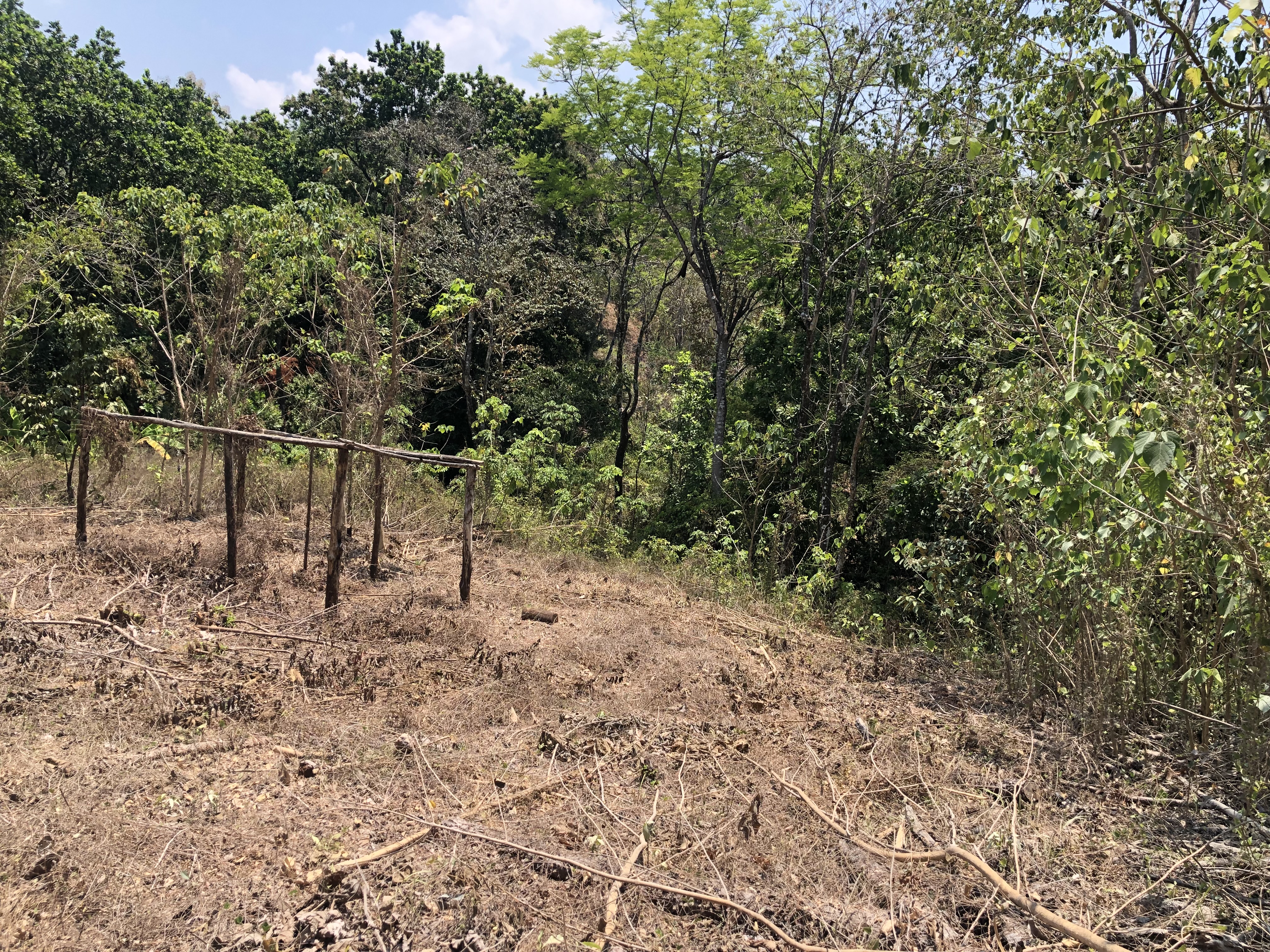 0 bed Land For Sale in Samara, Guanacaste - thumb 13