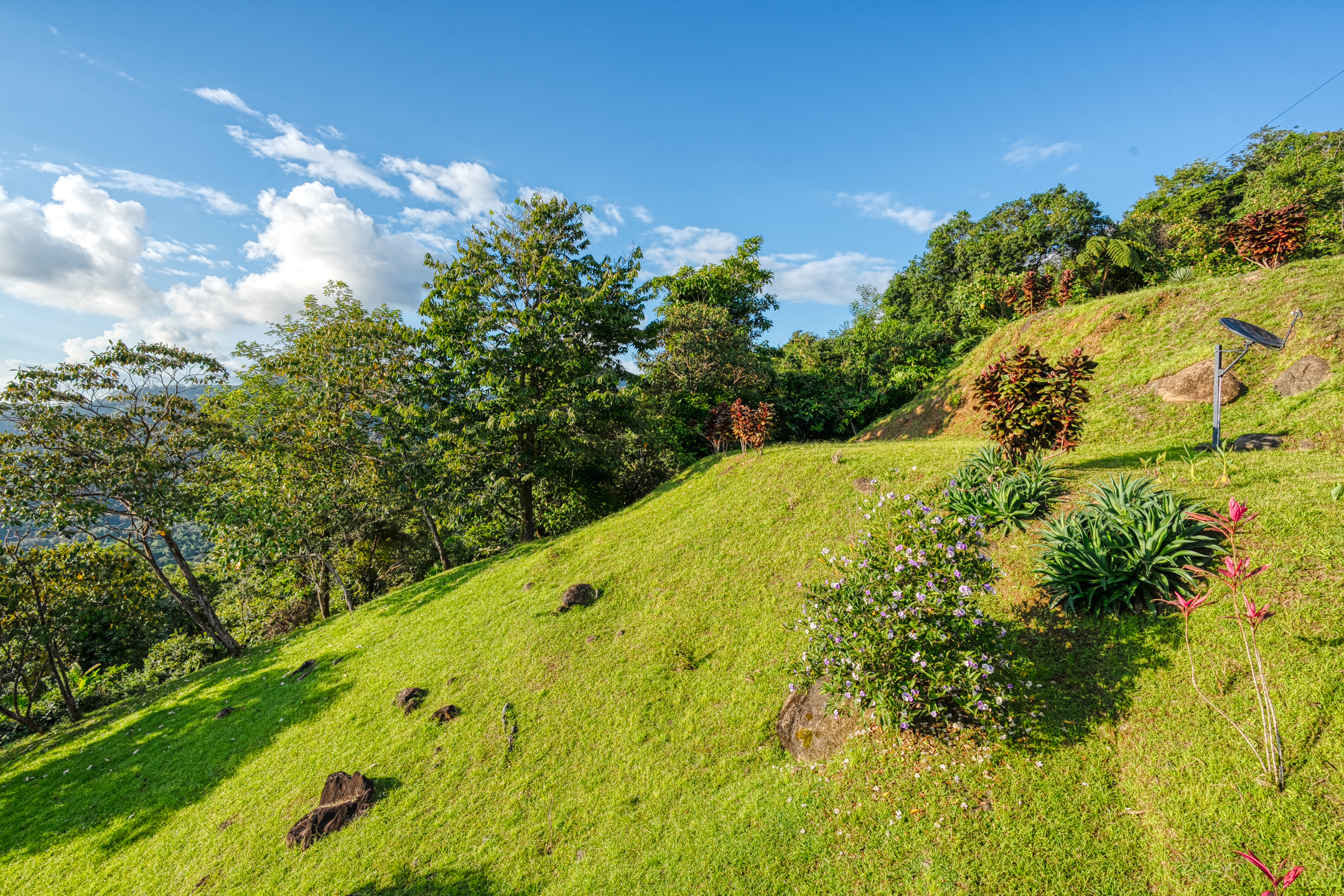 2 bed Single Family Homes For Sale in Dominical, Puntarenas - thumb 12