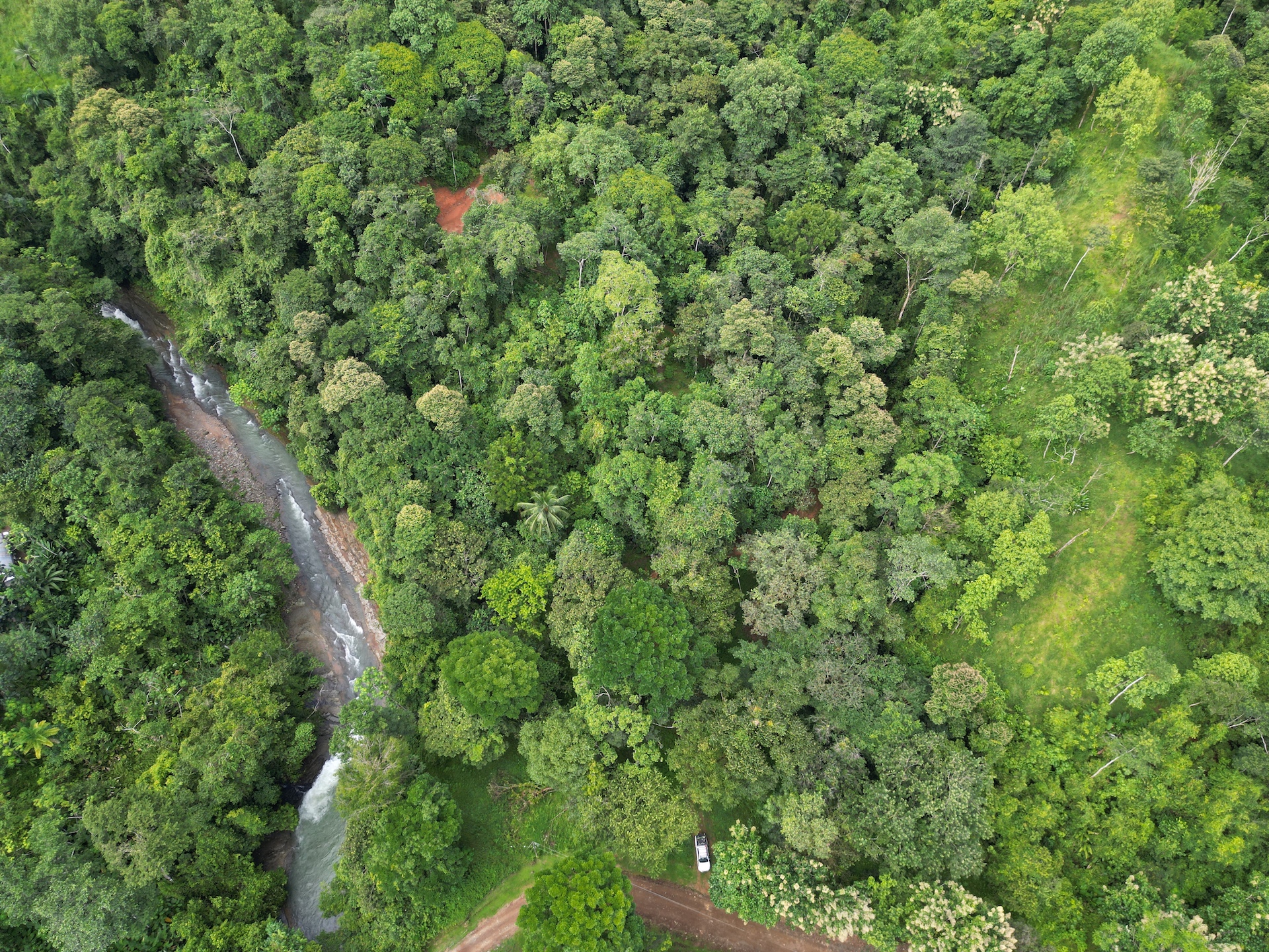 0 bed Land For Sale in Dominical, Puntarenas - thumb 4