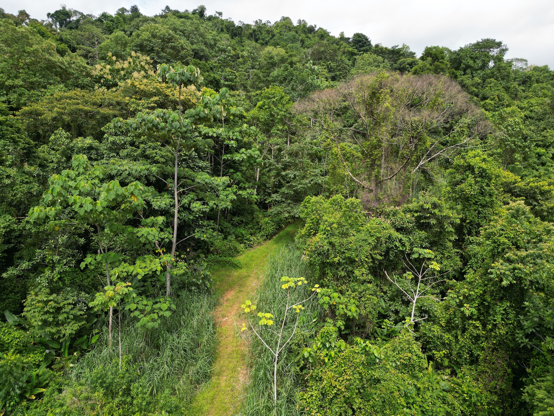 0 bed Land For Sale in Dominical, Puntarenas - thumb 7