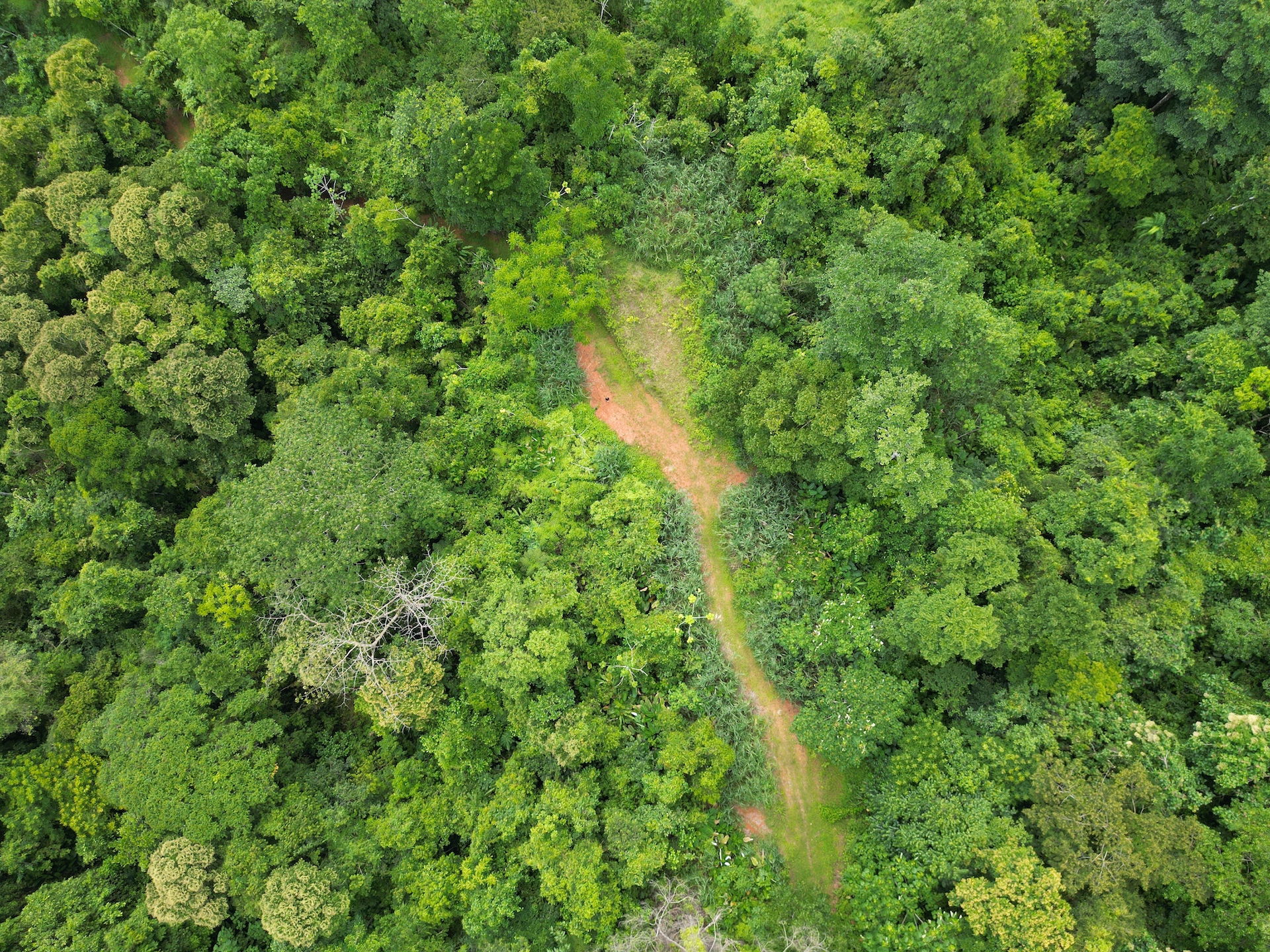 0 bed Land For Sale in Dominical, Puntarenas - thumb 9