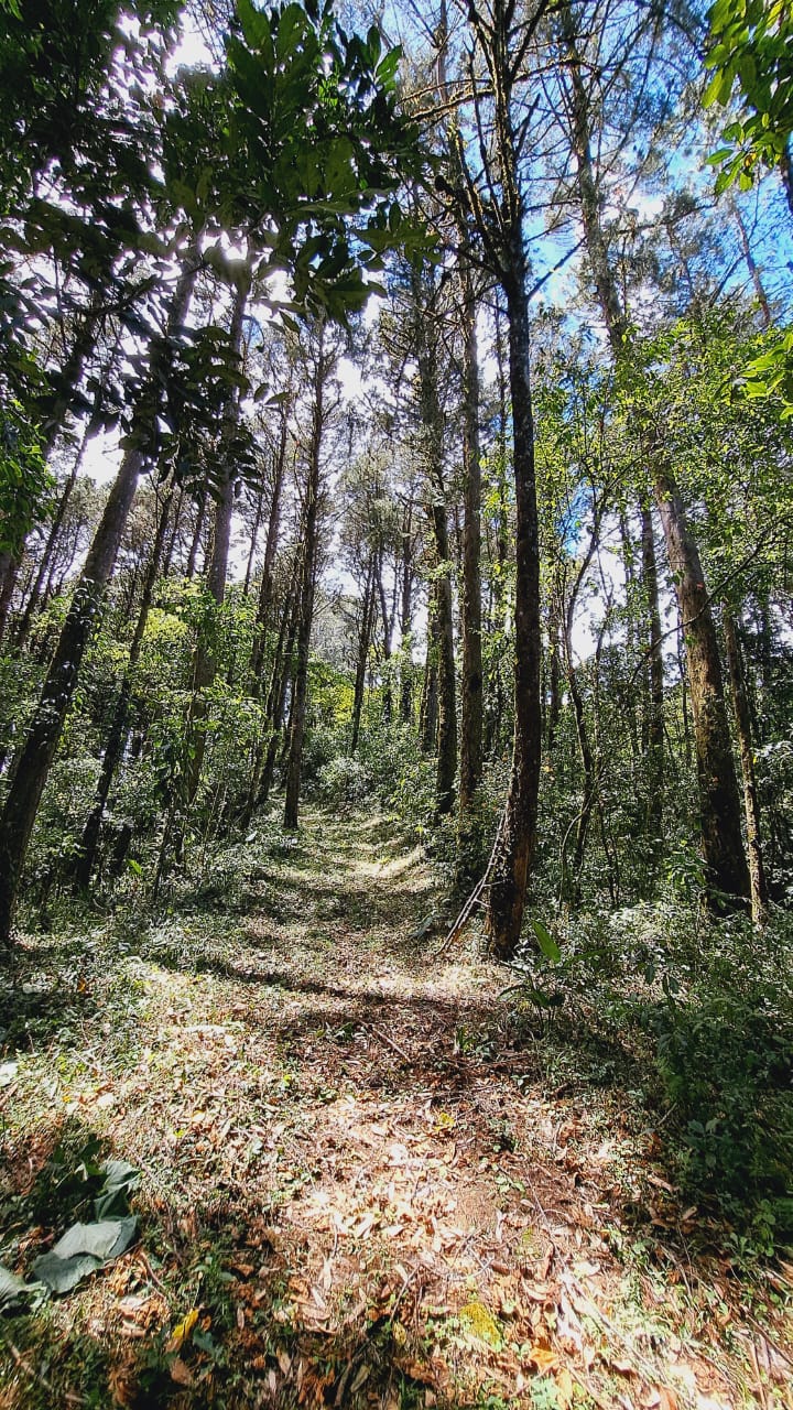 6 bed Land For Sale in Quebradilla, Cartago - thumb 15