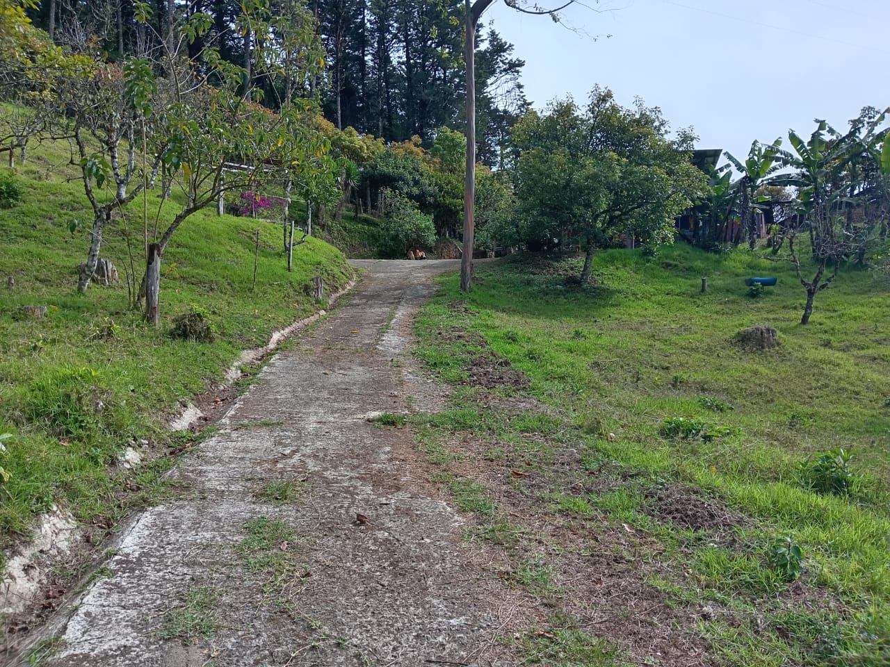 6 bed Land For Sale in Quebradilla, Cartago - thumb 18