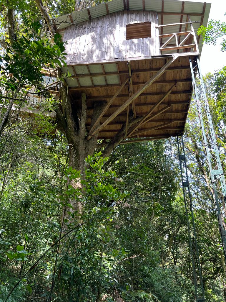 6 bed Land For Sale in Quebradilla, Cartago - thumb 10