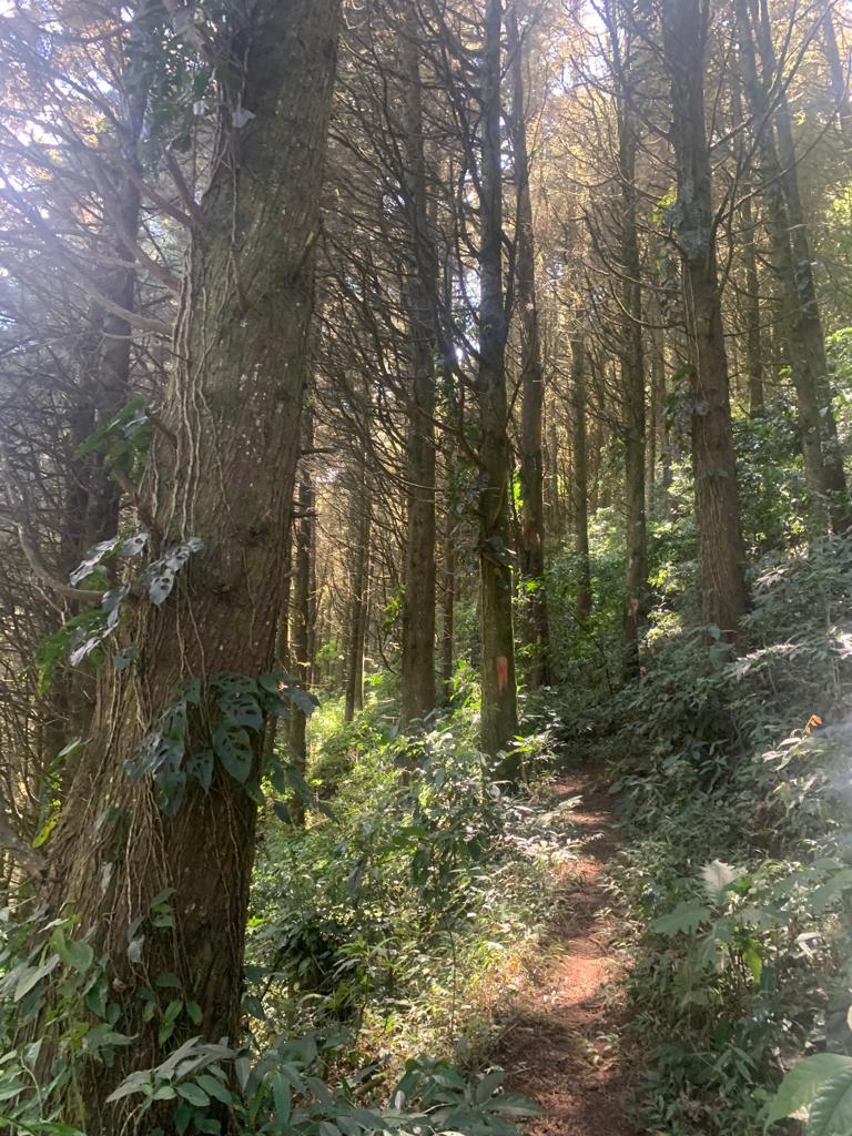 6 bed Land For Sale in Quebradilla, Cartago - thumb 14