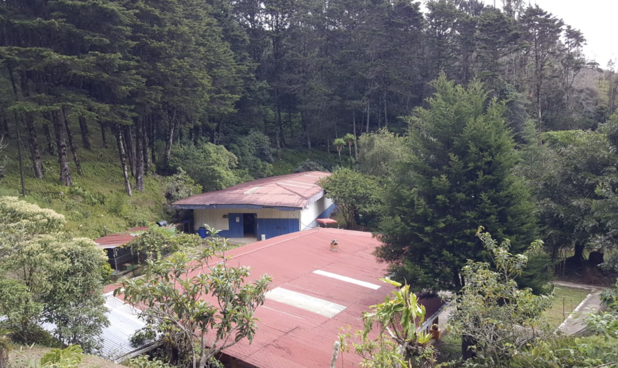 6 bed Land For Sale in Quebradilla, Cartago - thumb 4