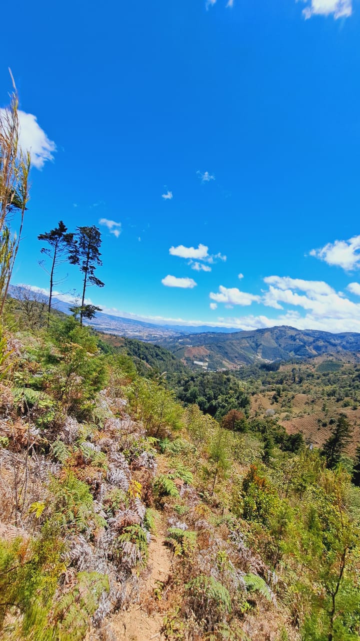 6 bed Land For Sale in Quebradilla, Cartago - thumb 17