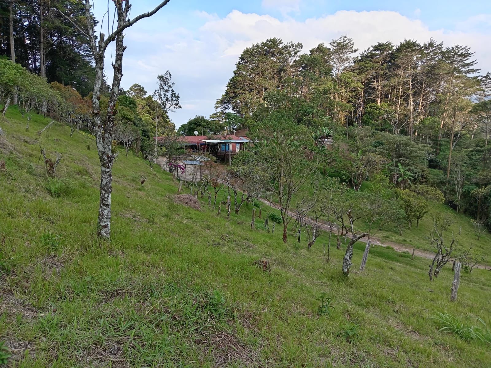 6 bed Land For Sale in Quebradilla, Cartago - thumb 19