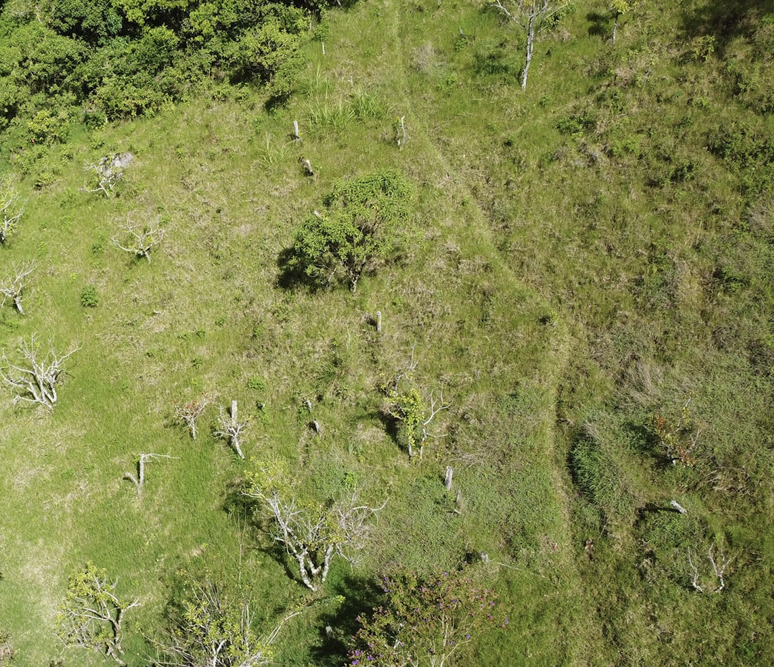 0 bed Land For Sale in Quebradilla, Cartago - thumb 3