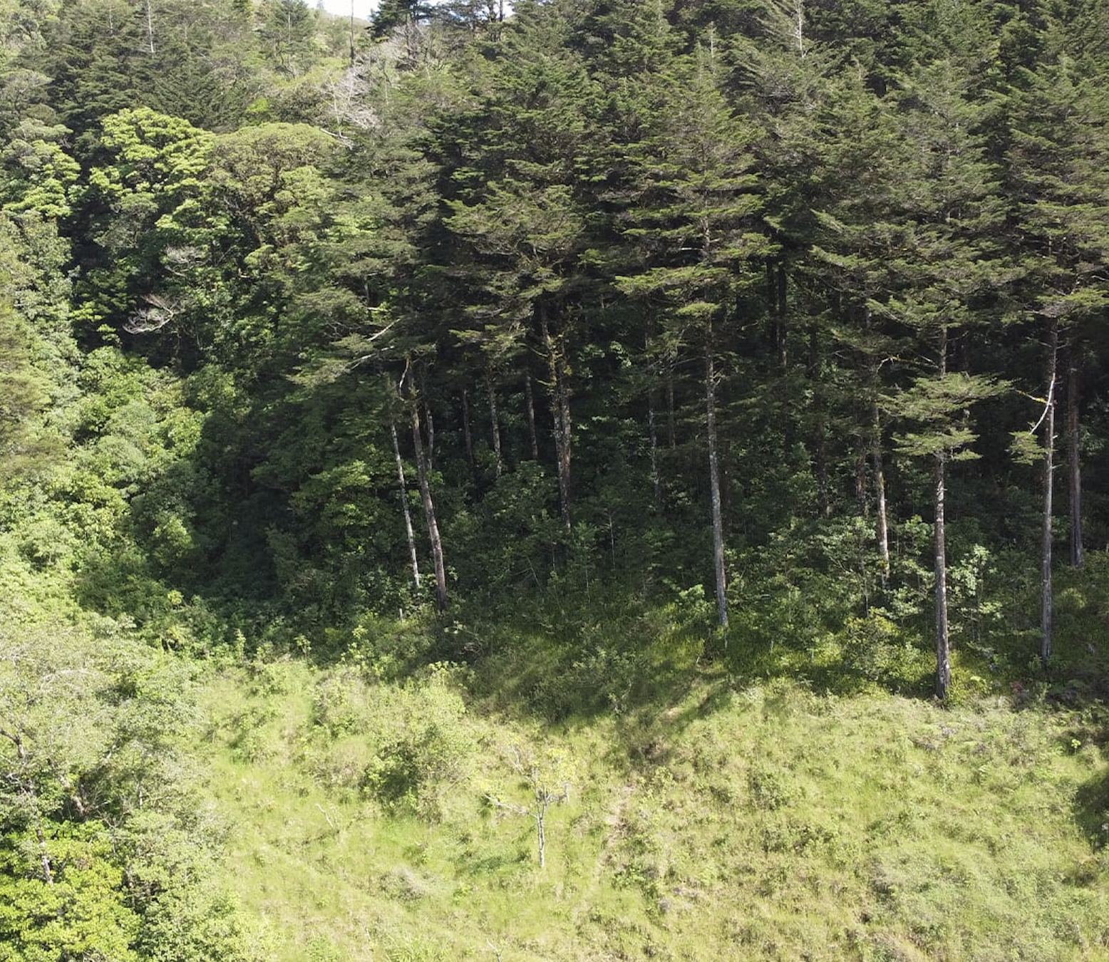 0 bed Land For Sale in Quebradilla, Cartago - thumb 4