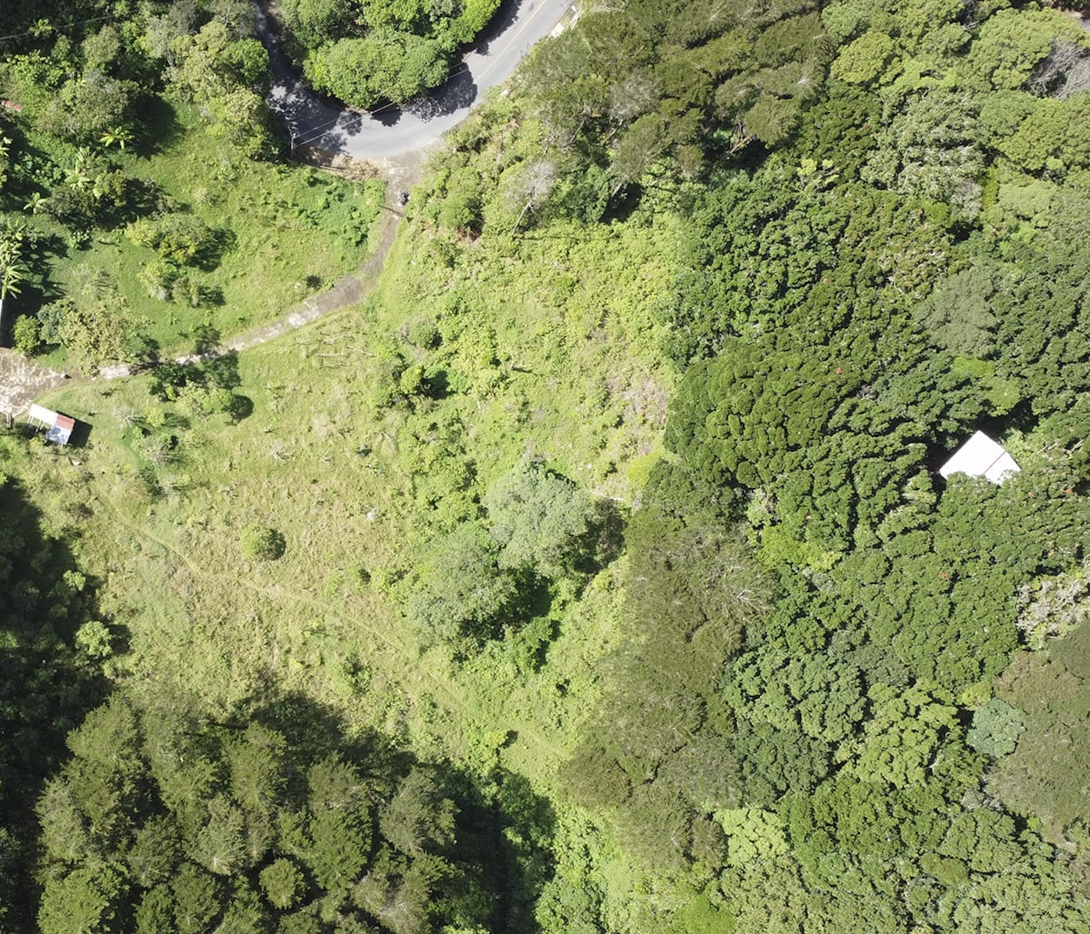 0 bed Land For Sale in Quebradilla, Cartago - thumb 2