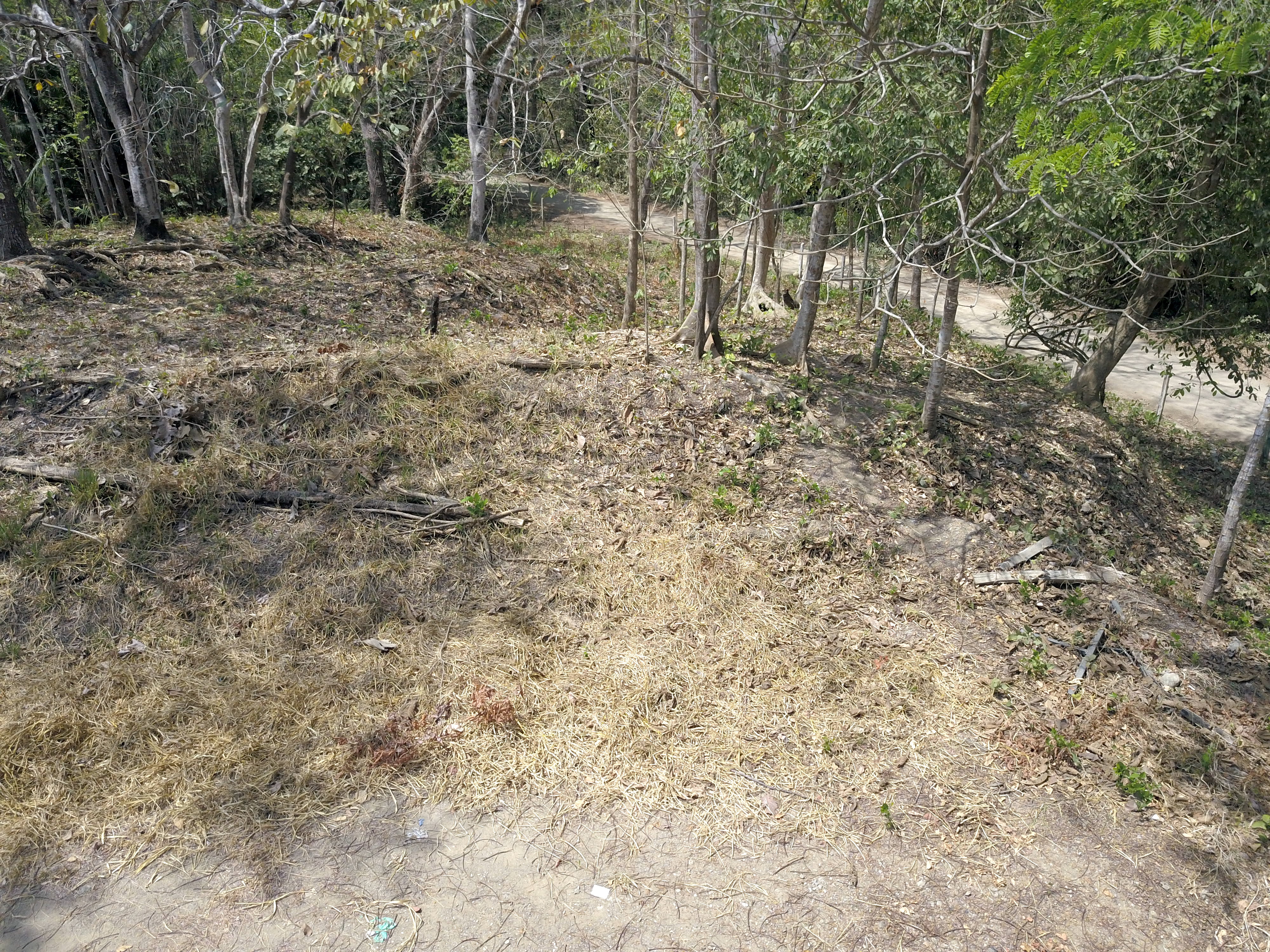 0 bed Land For Sale in Samara, Guanacaste - thumb 9