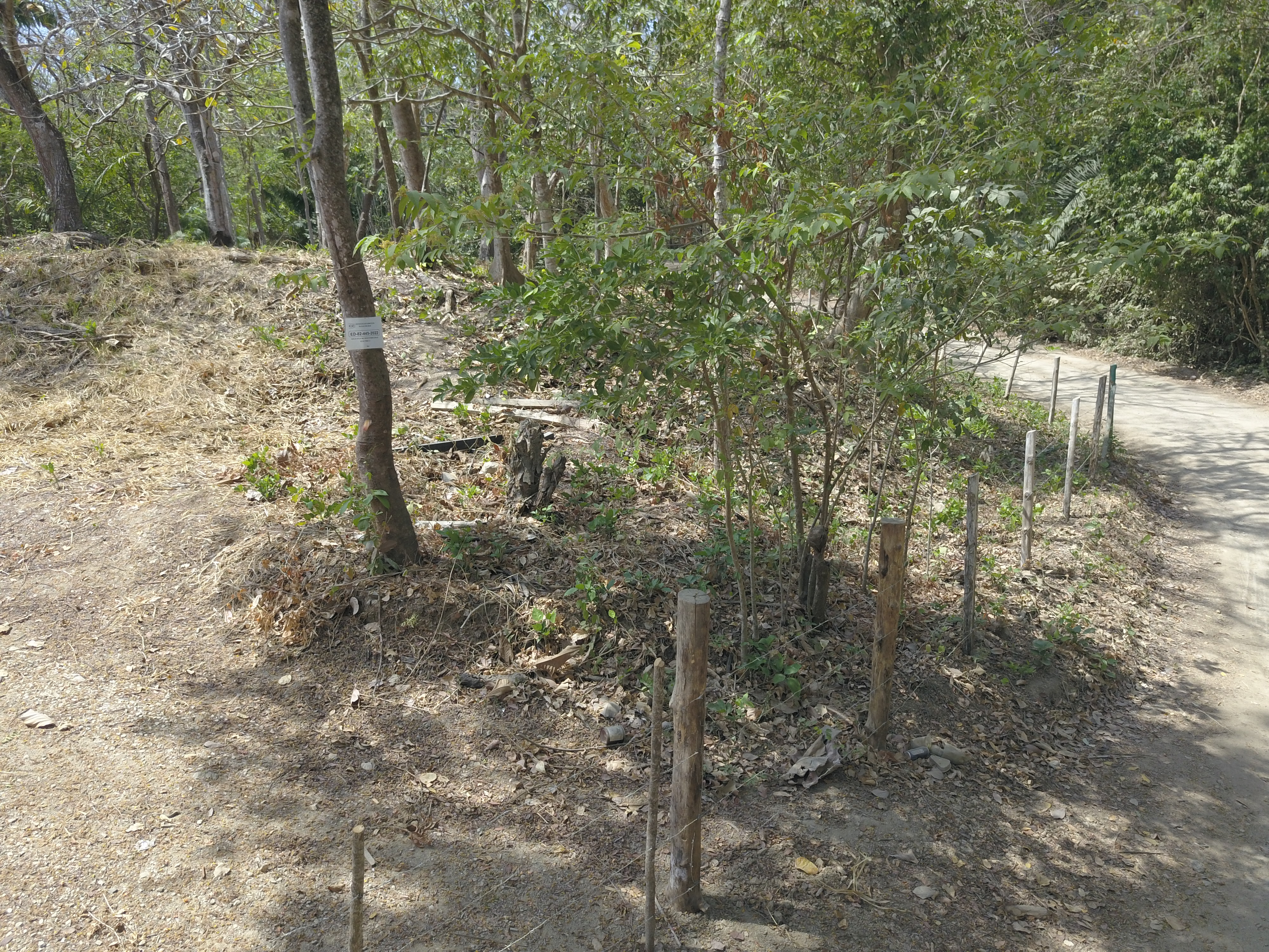 0 bed Land For Sale in Samara, Guanacaste - thumb 10