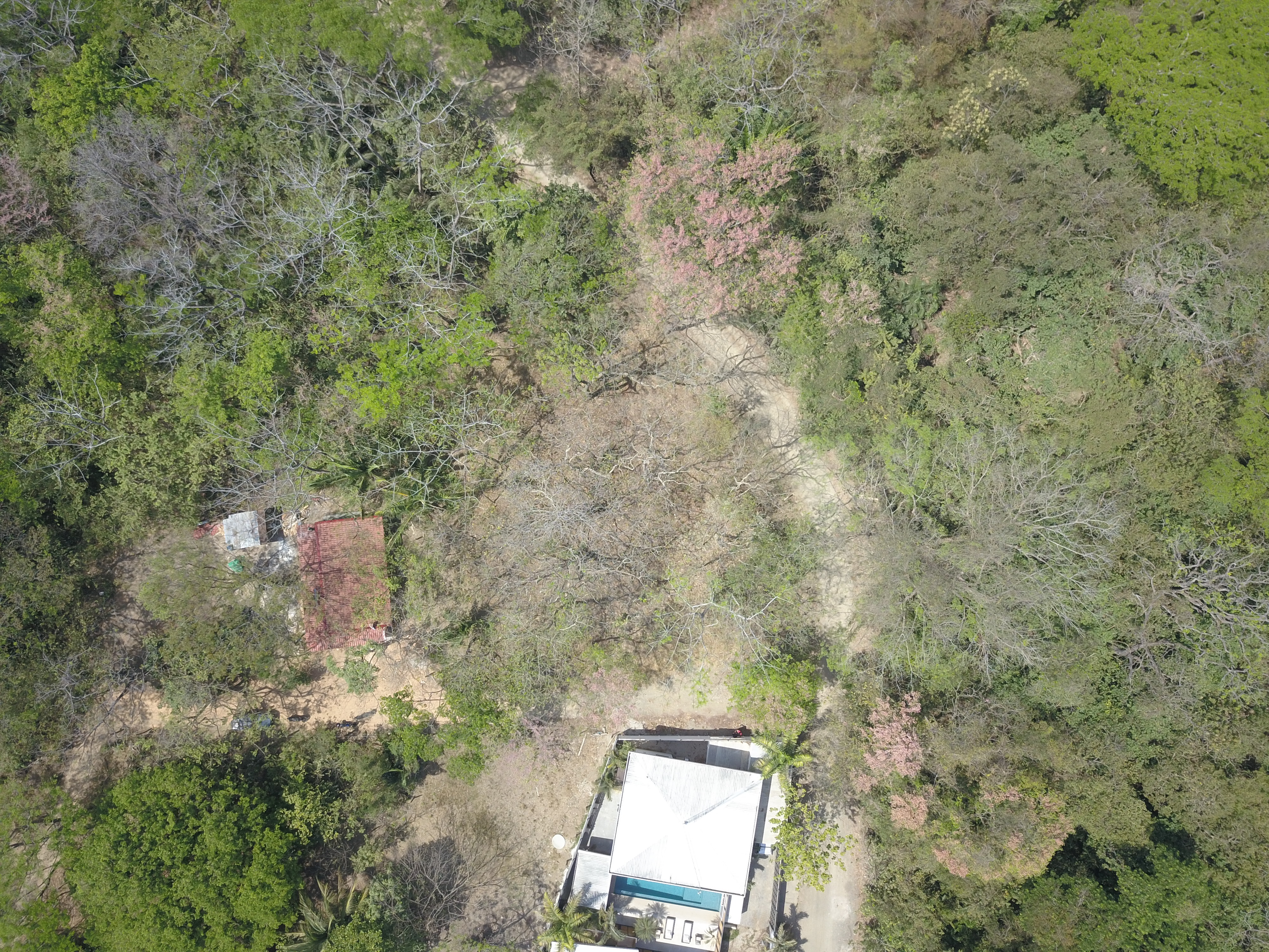 0 bed Land For Sale in Samara, Guanacaste - thumb 8