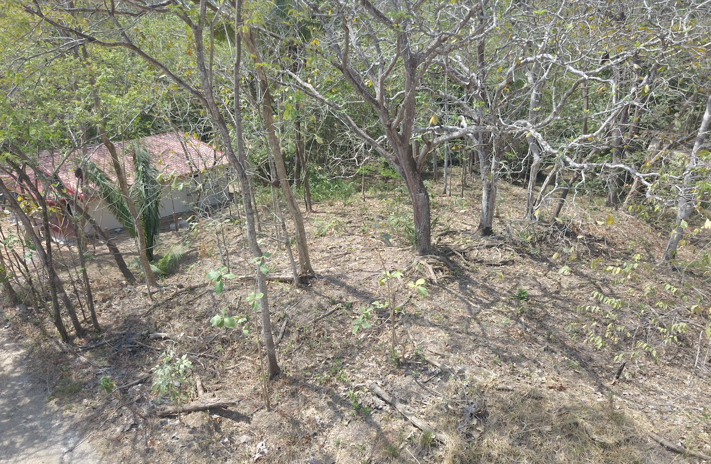 0 bed Land For Sale in Samara, Guanacaste - thumb 2
