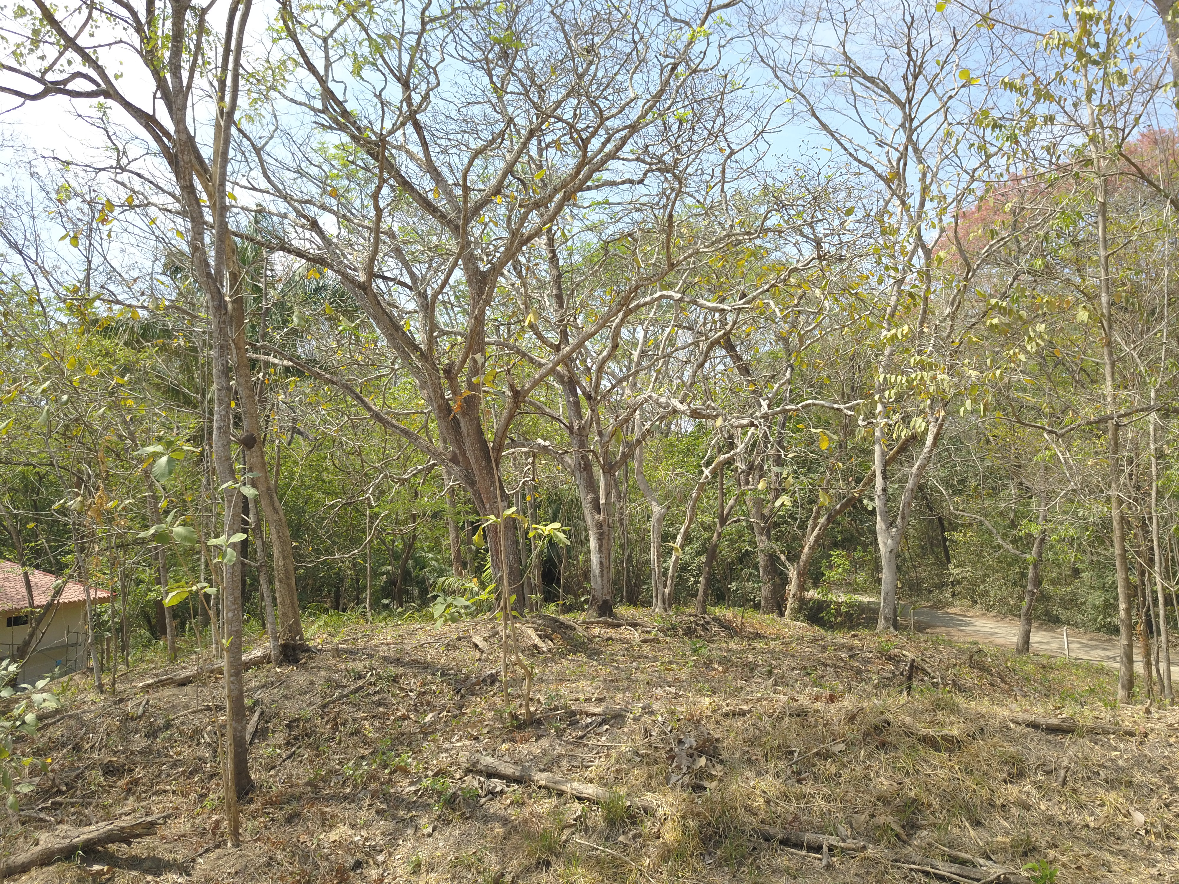 0 bed Land For Sale in Samara, Guanacaste - thumb 5