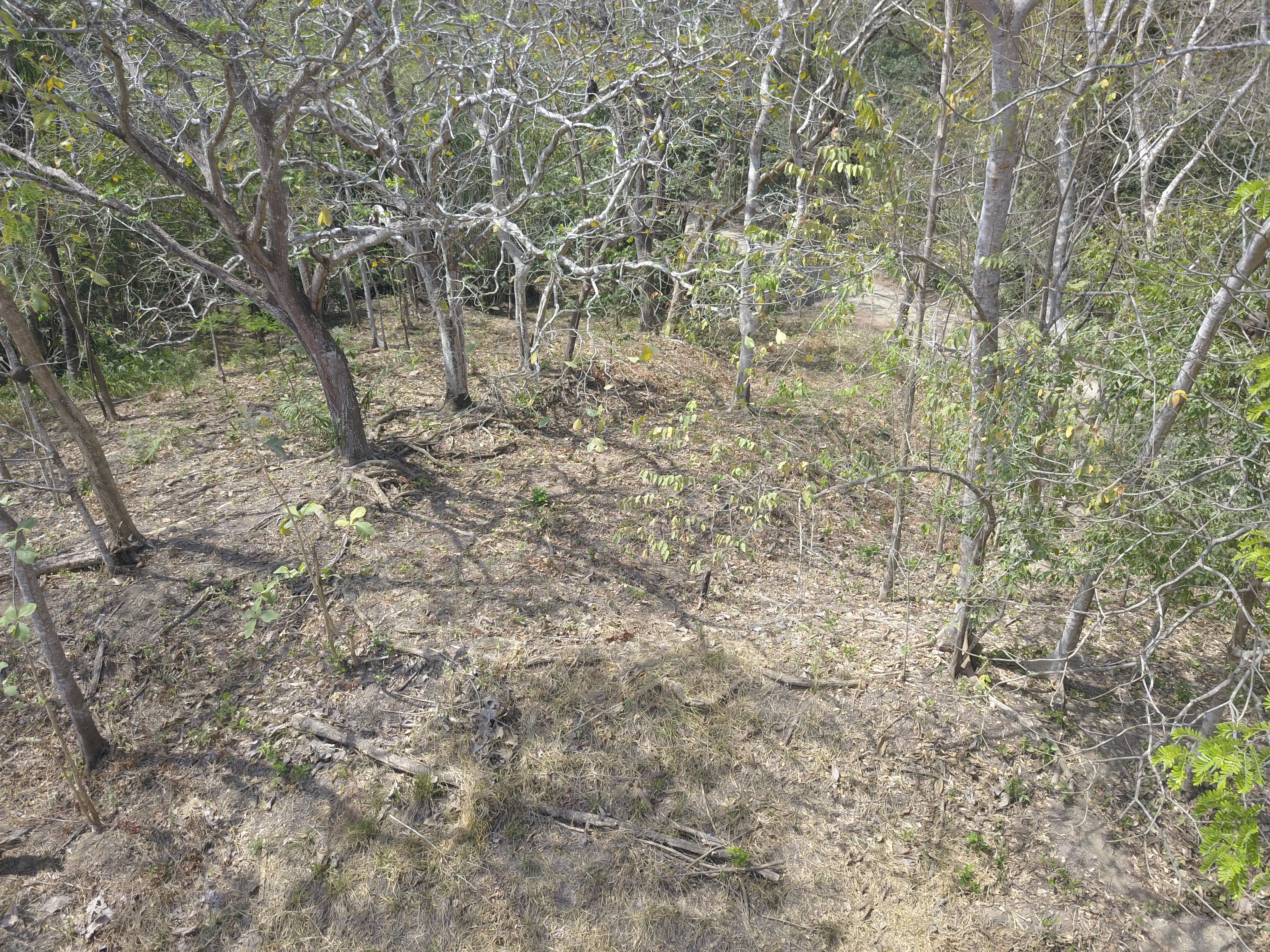 0 bed Land For Sale in Samara, Guanacaste - thumb 6
