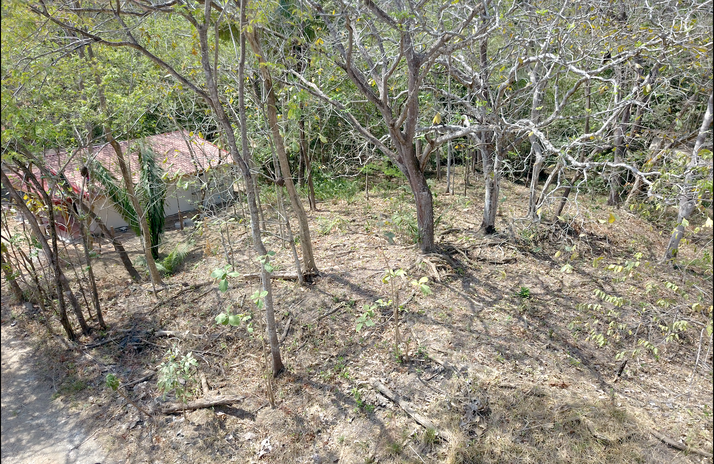 0 bed Land For Sale in Samara, Guanacaste - thumb 3