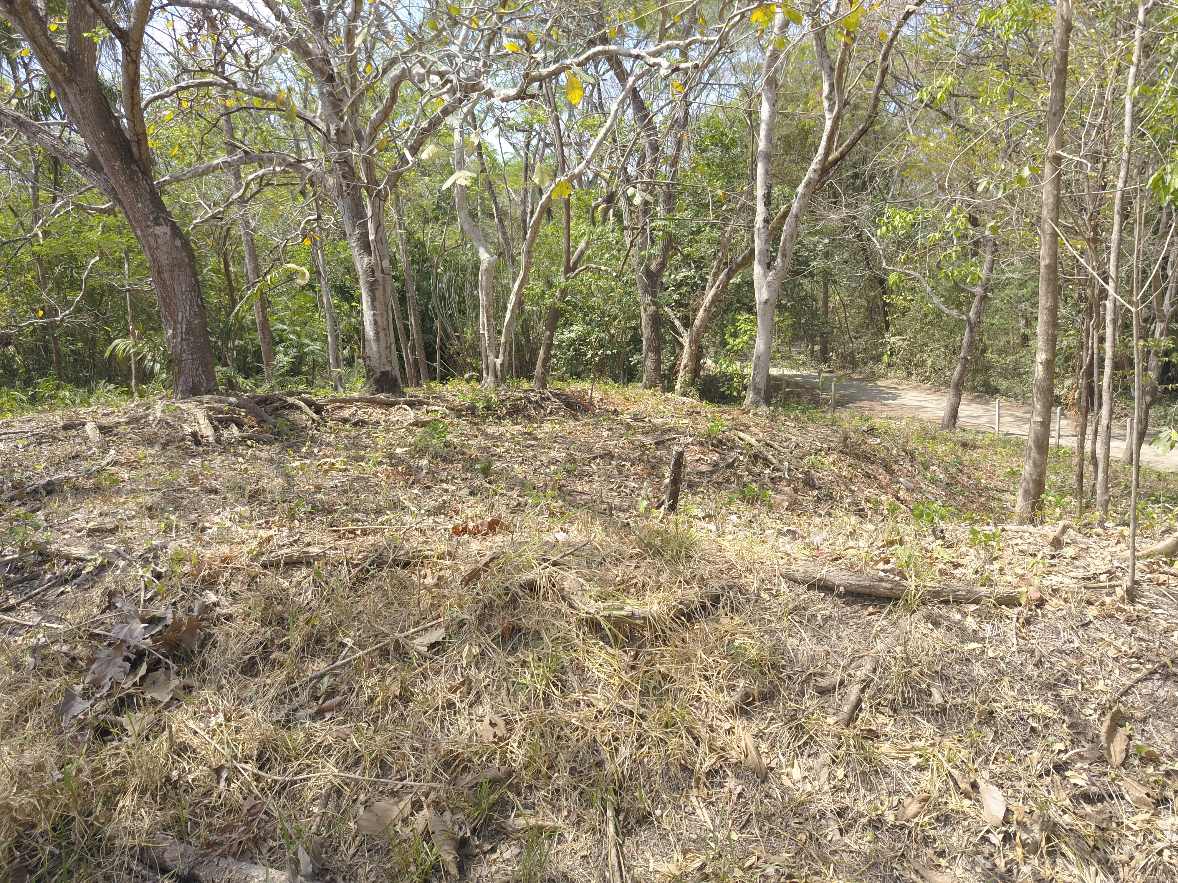 0 bed Land For Sale in Samara, Guanacaste - thumb 7
