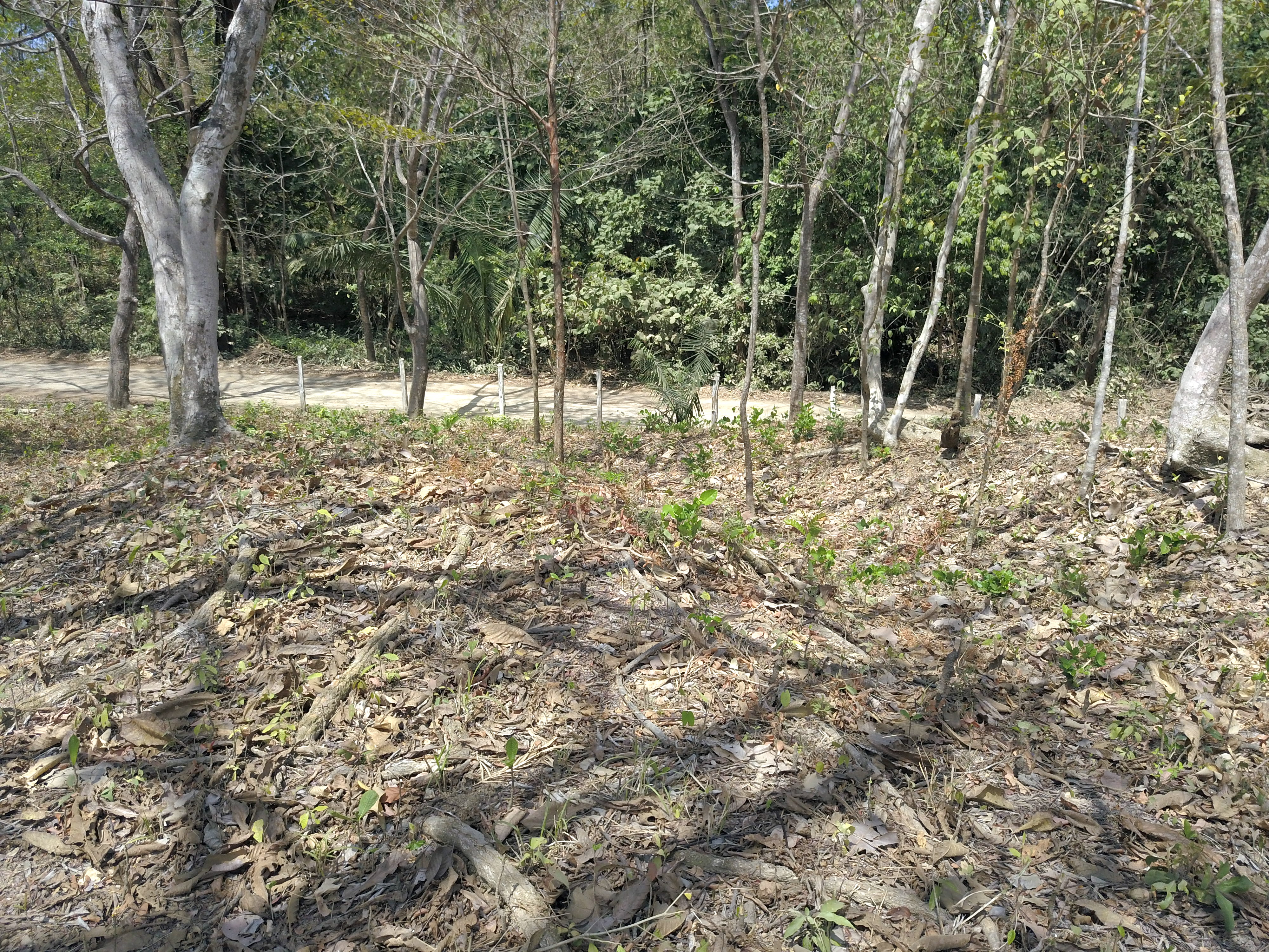 0 bed Land For Sale in Samara, Guanacaste - thumb 12