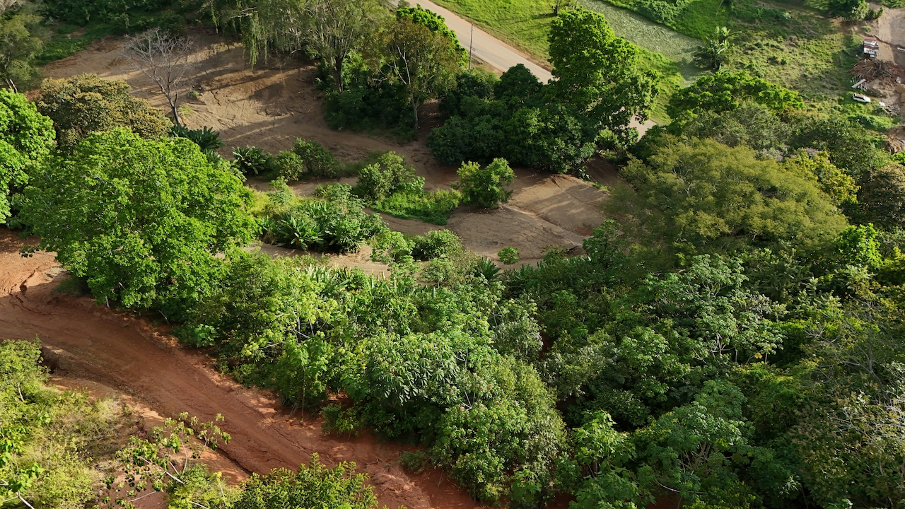 0 bed Land For Sale in Ojochal, Puntarenas - thumb 15