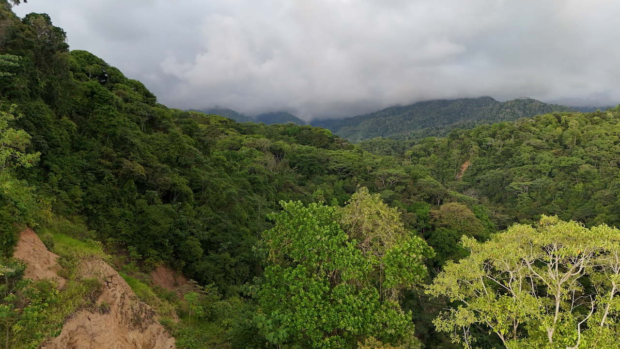 0 bed Land For Sale in Ojochal, Puntarenas - thumb 8