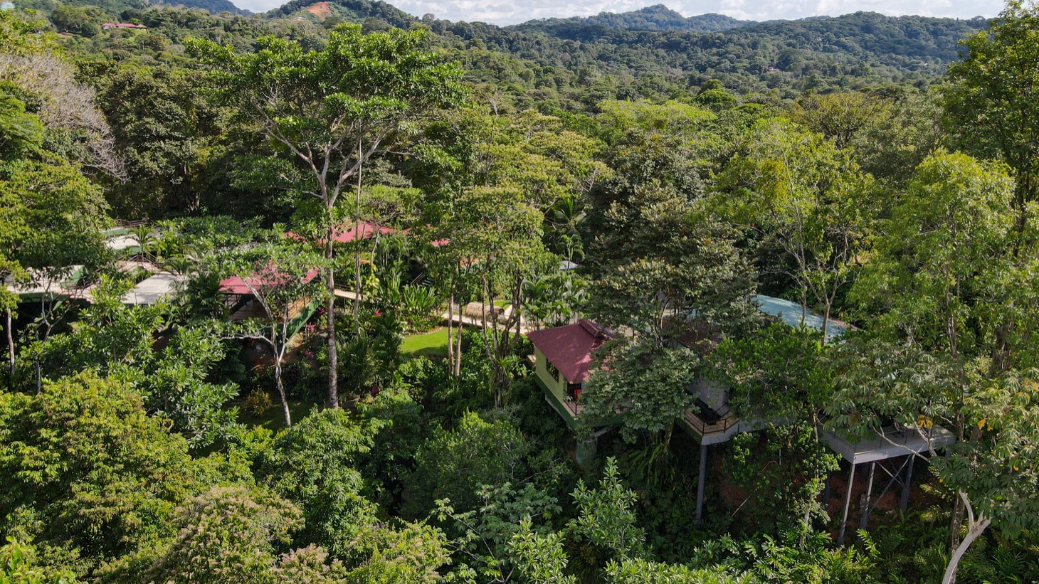 8 bed Hotel / Leisure For Sale in Ojochal, Puntarenas - thumb 15