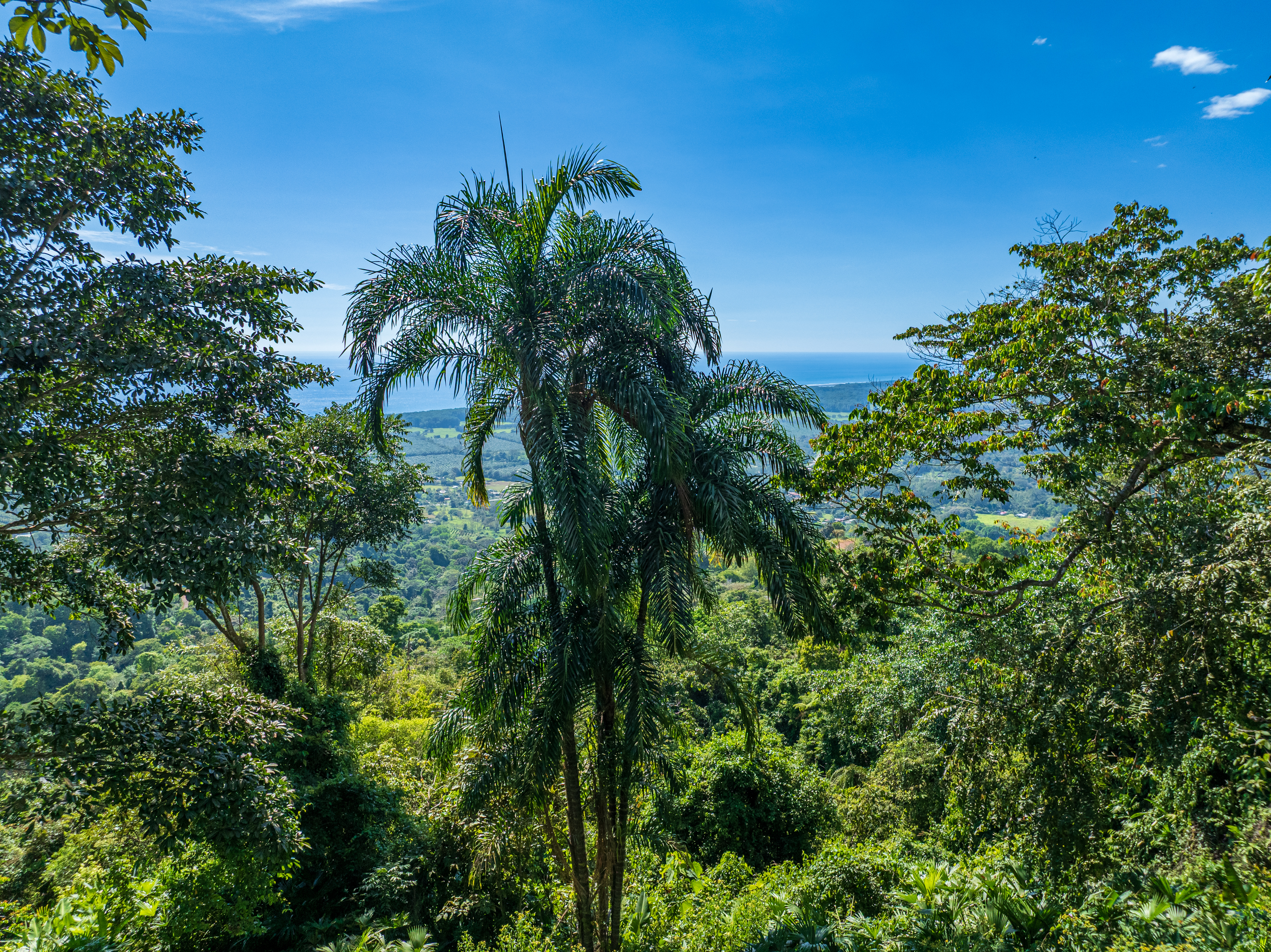 0 bed Land For Sale in Matapalo, Puntarenas - thumb 18