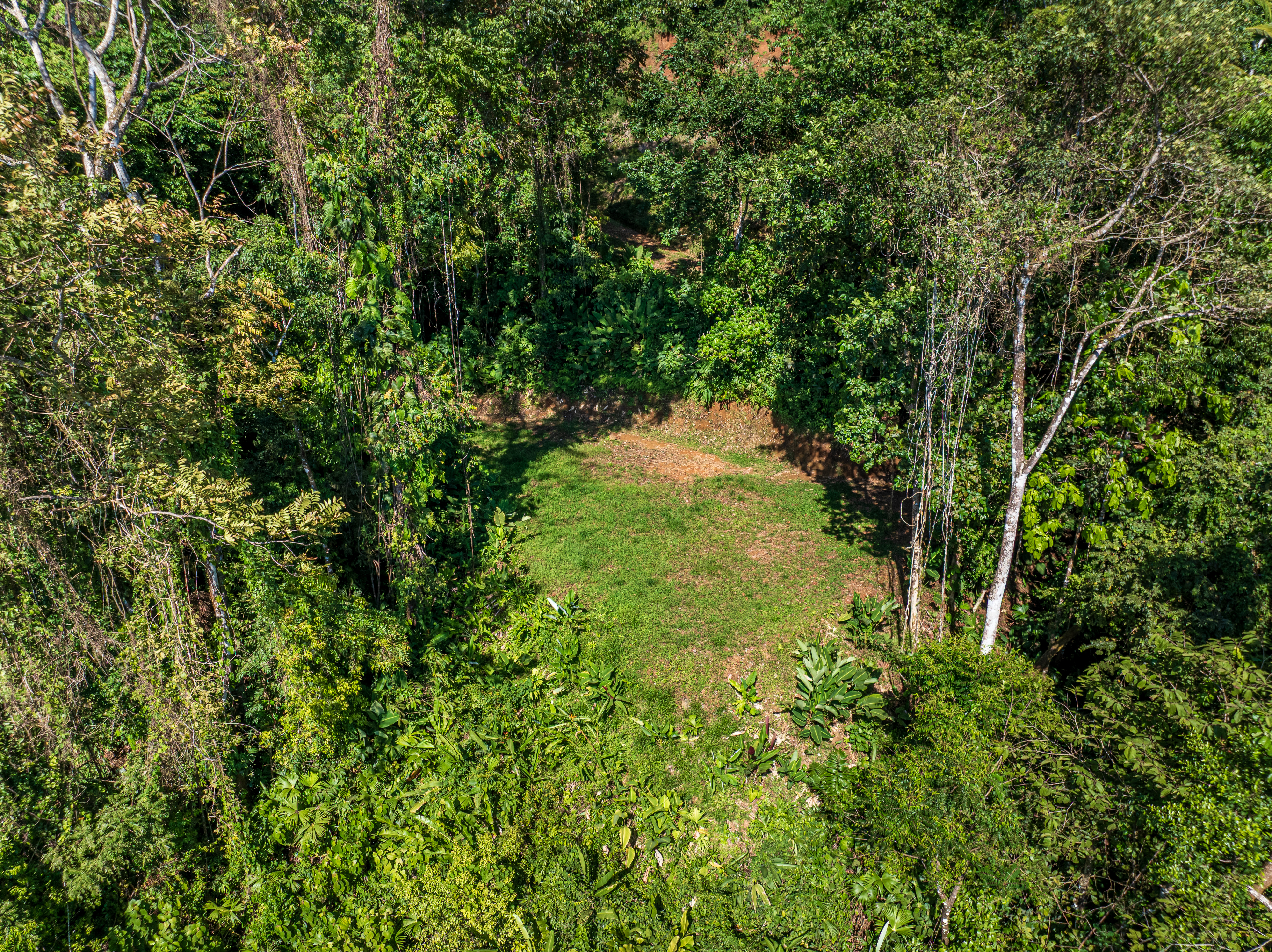 0 bed Land For Sale in Matapalo, Puntarenas - thumb 10