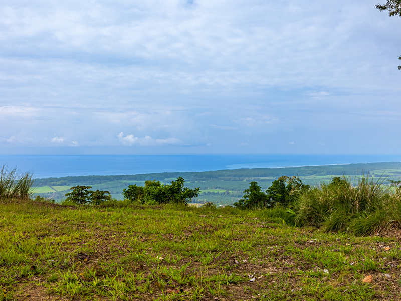 0 bed Land For Sale in Matapalo, Puntarenas - 1