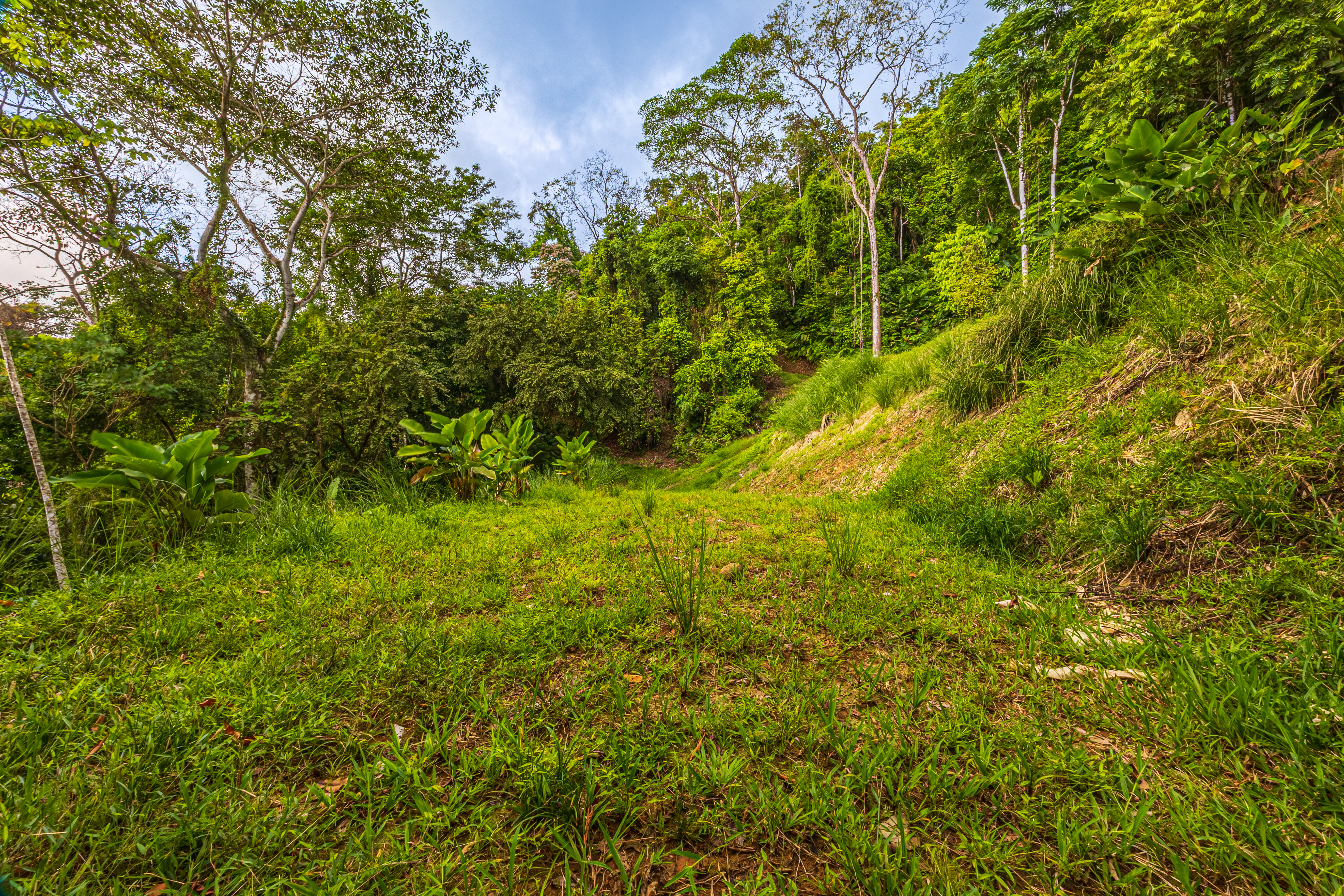 0 bed Land For Sale in Matapalo, Puntarenas - thumb 7