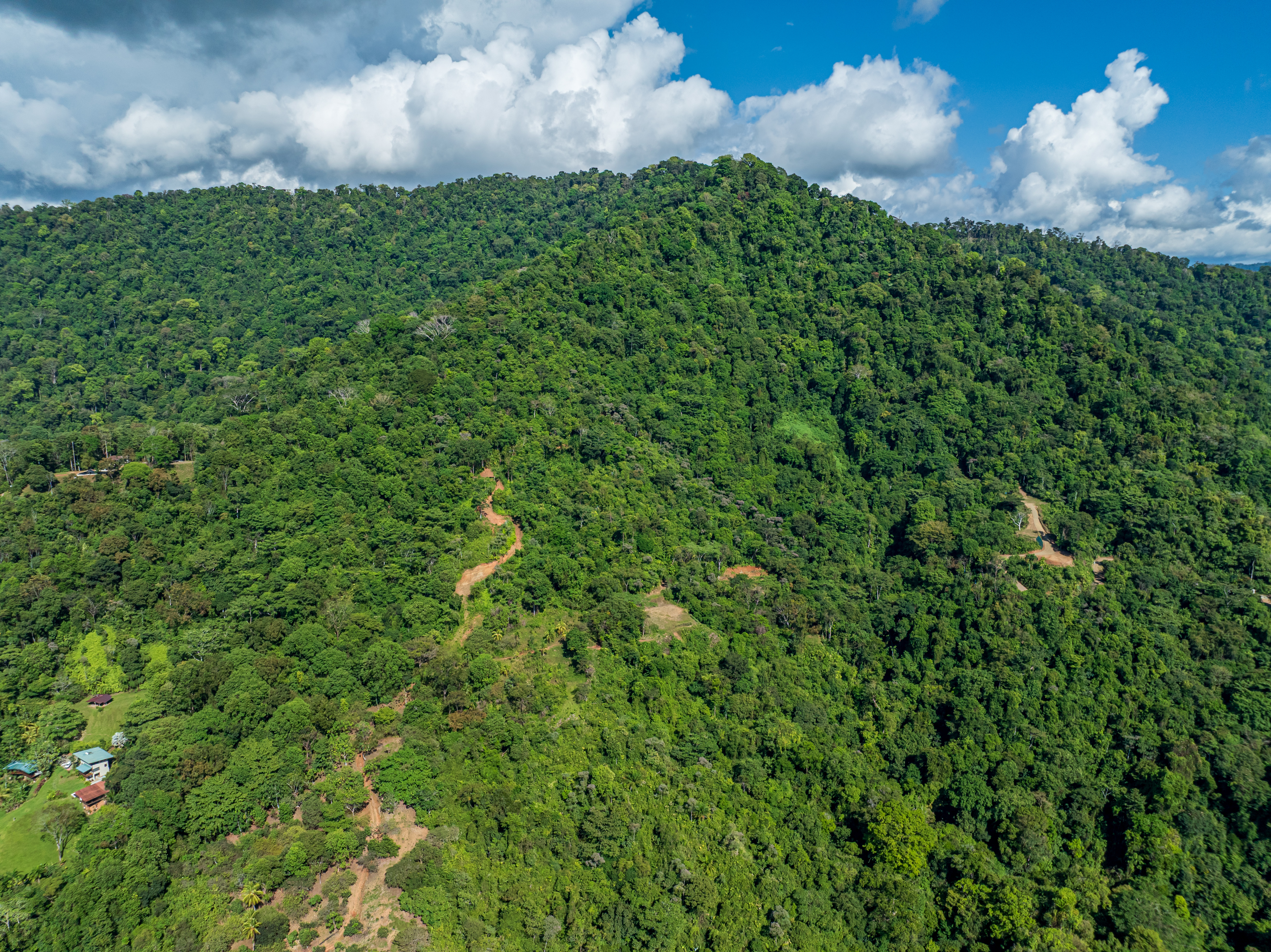 0 bed Land For Sale in Matapalo, Puntarenas - thumb 21