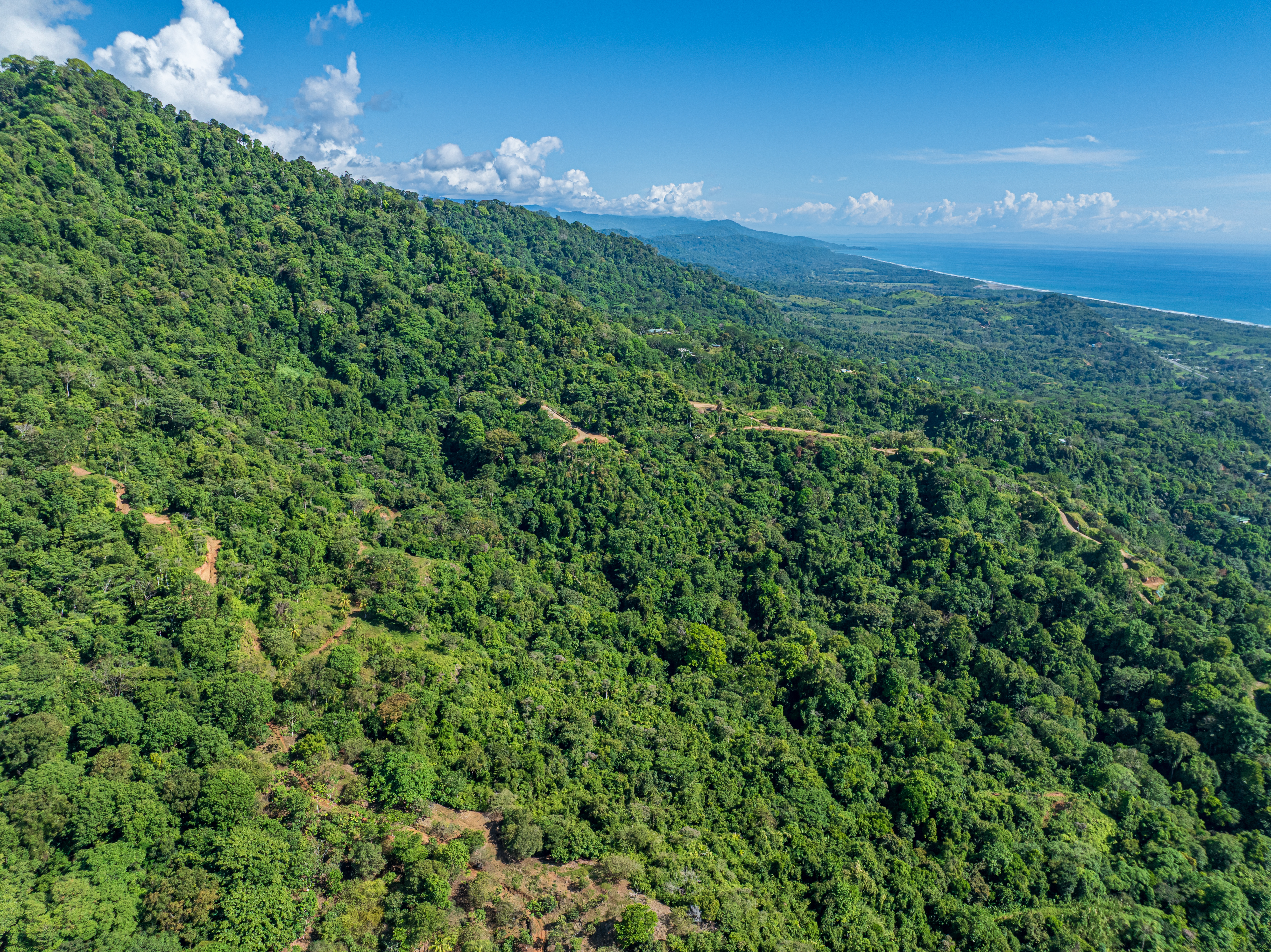 0 bed Land For Sale in Matapalo, Puntarenas - thumb 20