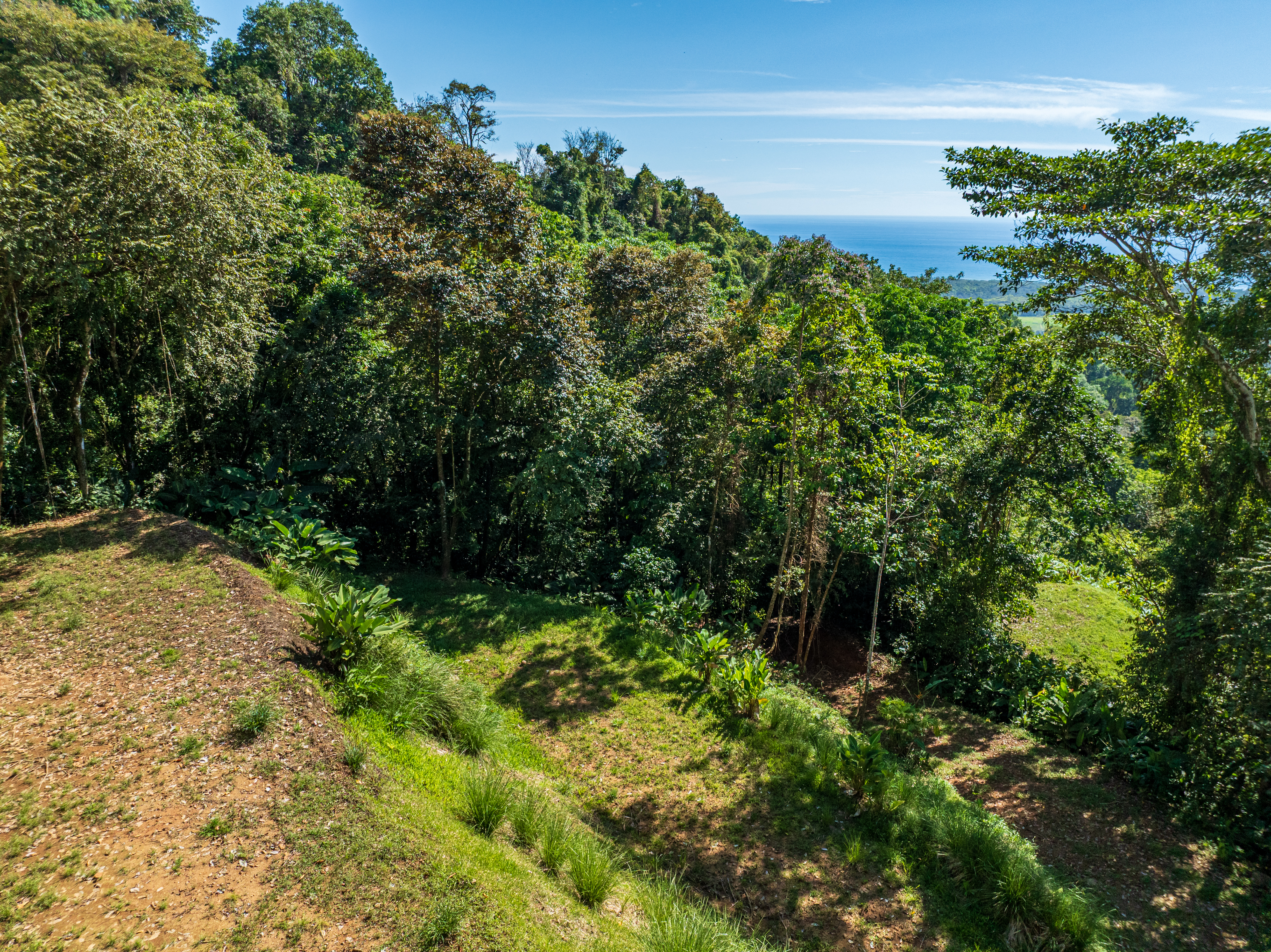 0 bed Land For Sale in Matapalo, Puntarenas - thumb 11