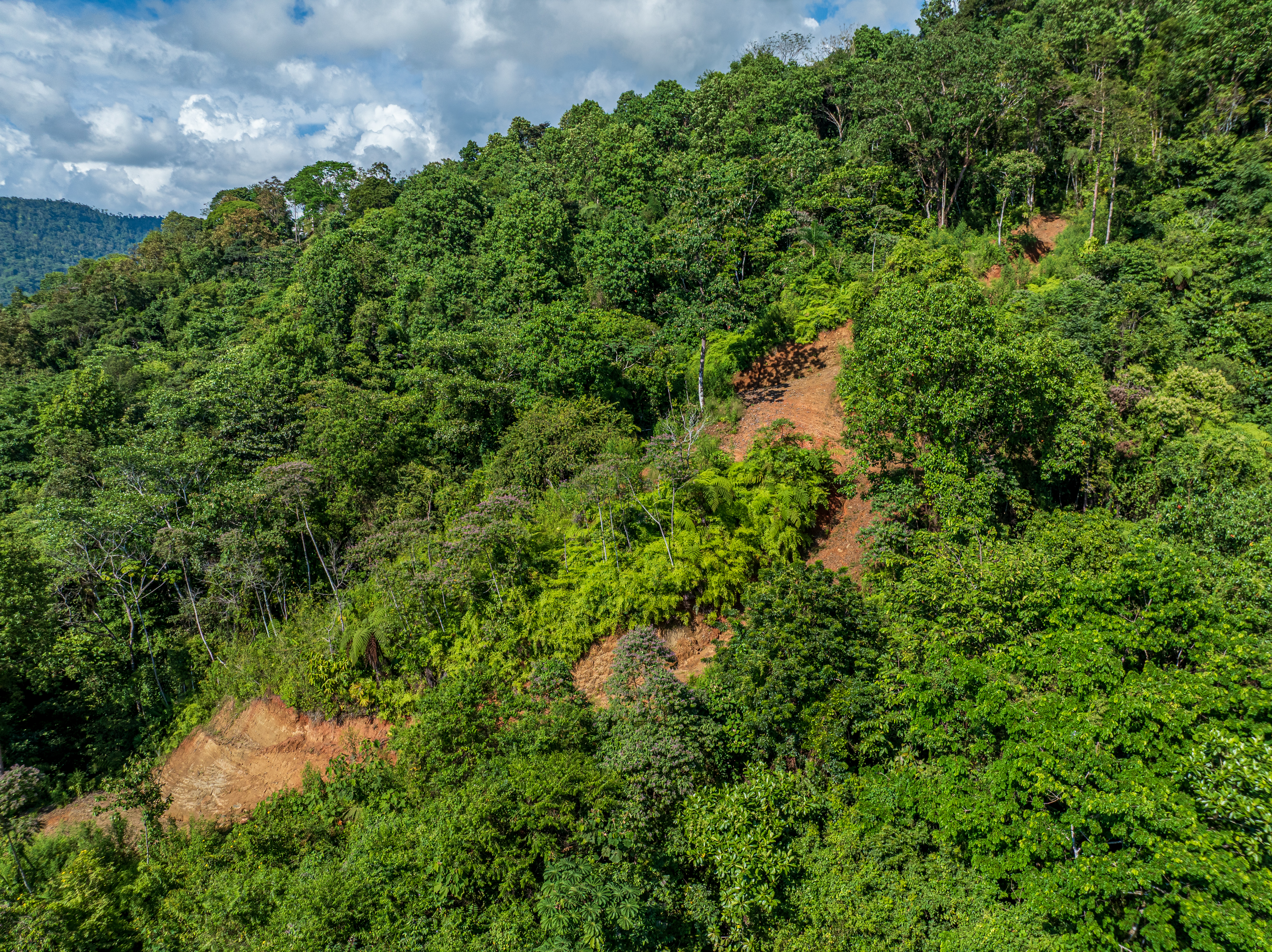 0 bed Land For Sale in Matapalo, Puntarenas - thumb 17