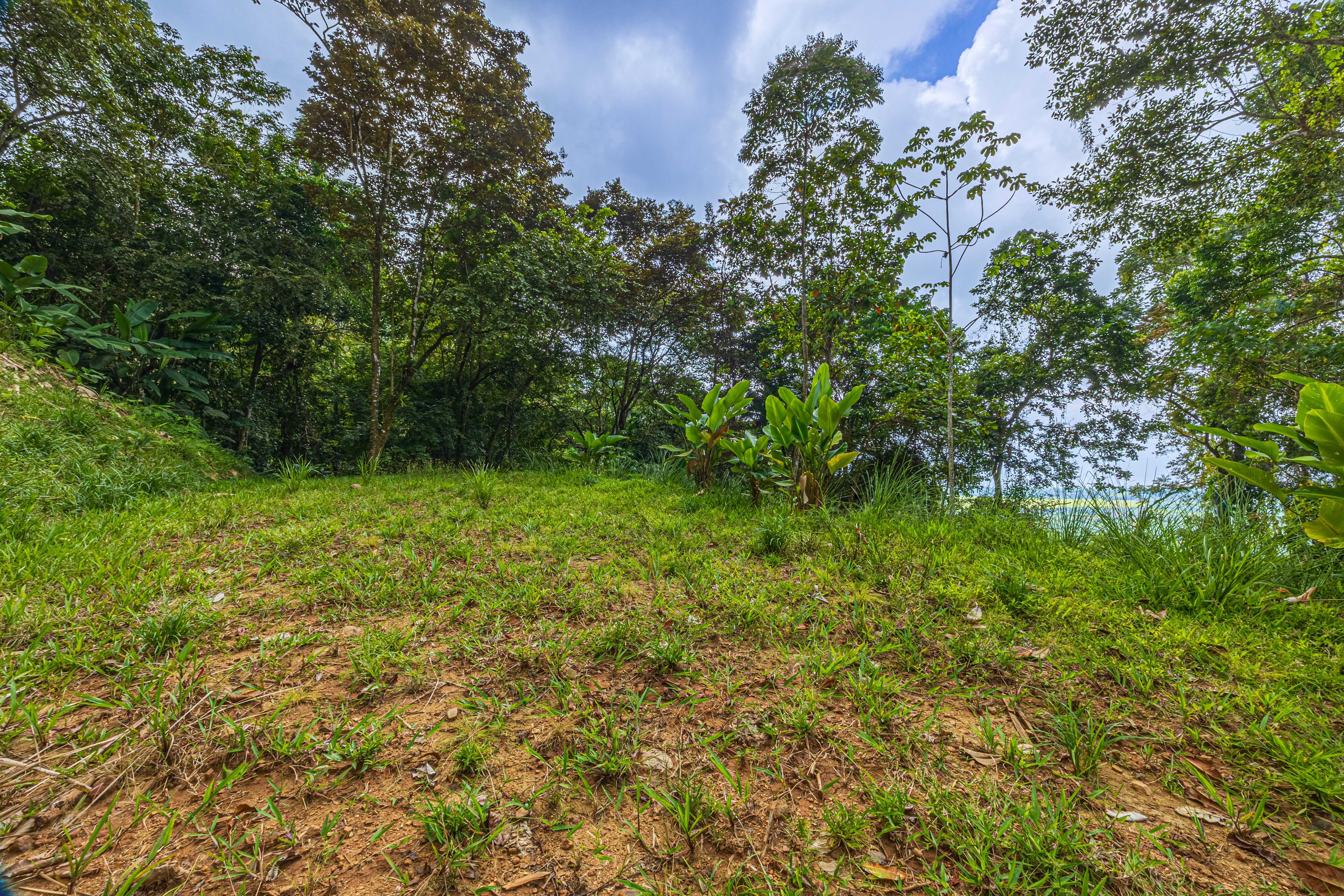 0 bed Land For Sale in Matapalo, Puntarenas - thumb 6