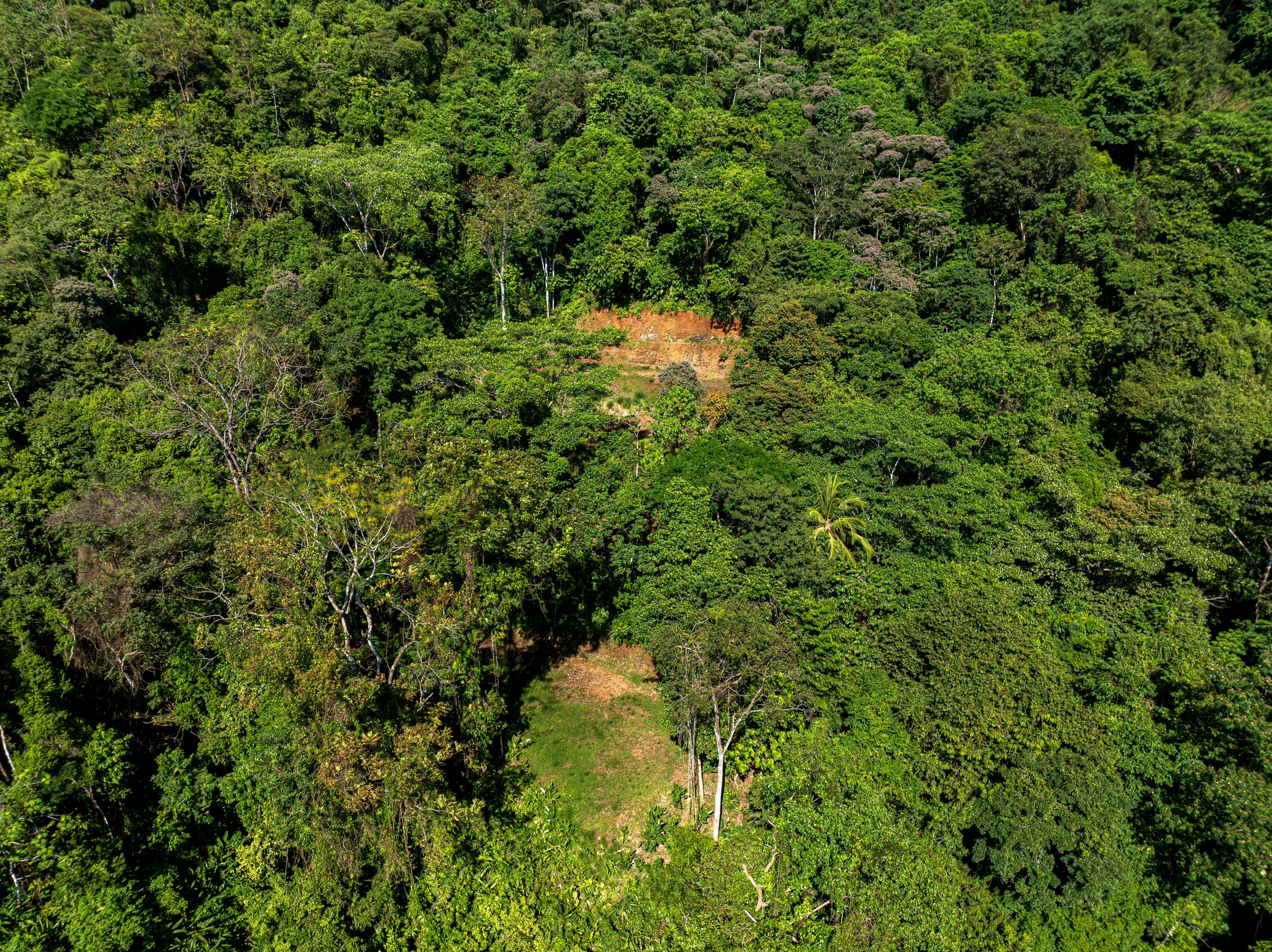 0 bed Land For Sale in Matapalo, Puntarenas - thumb 9