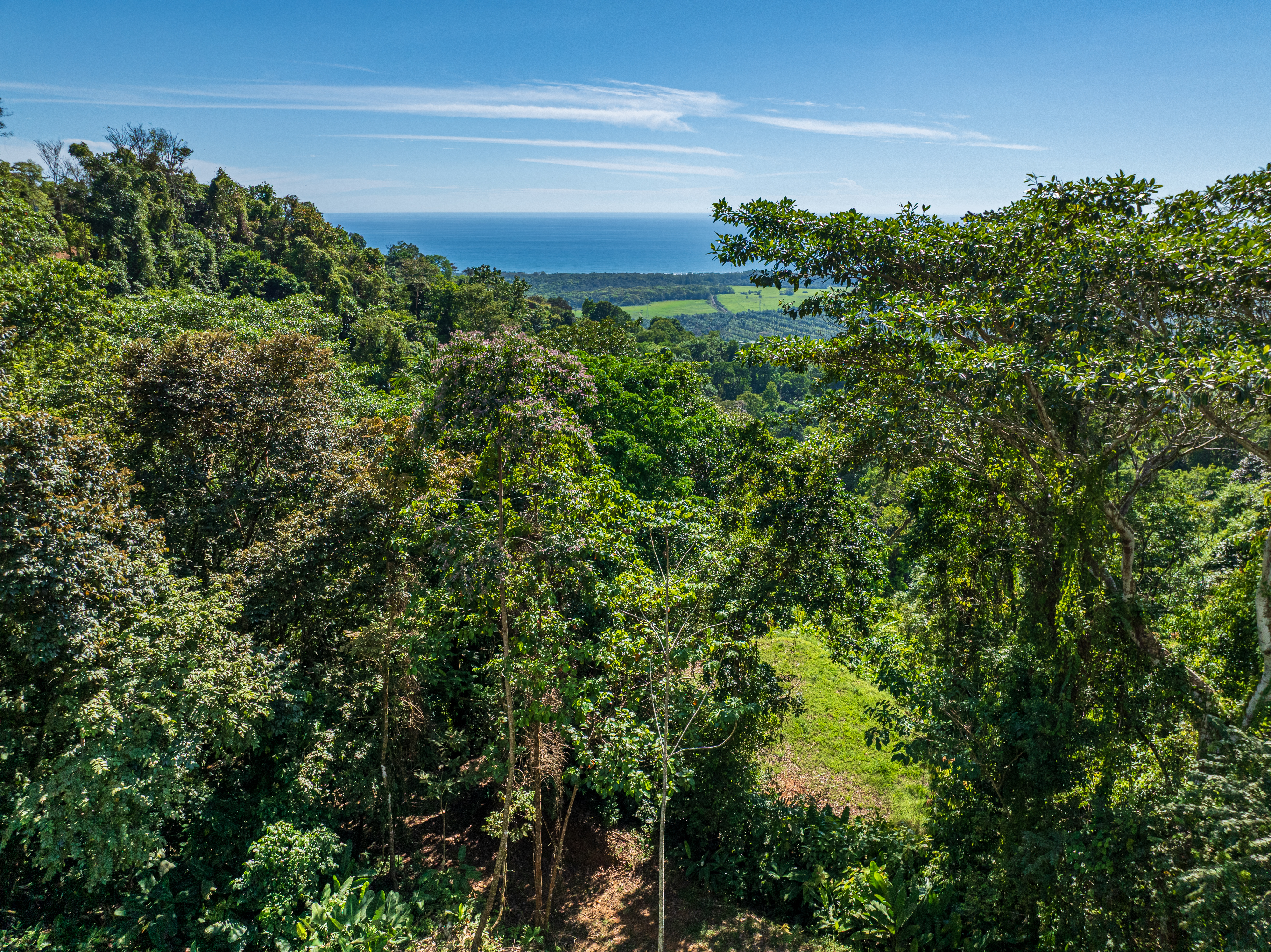 0 bed Land For Sale in Matapalo, Puntarenas - thumb 12