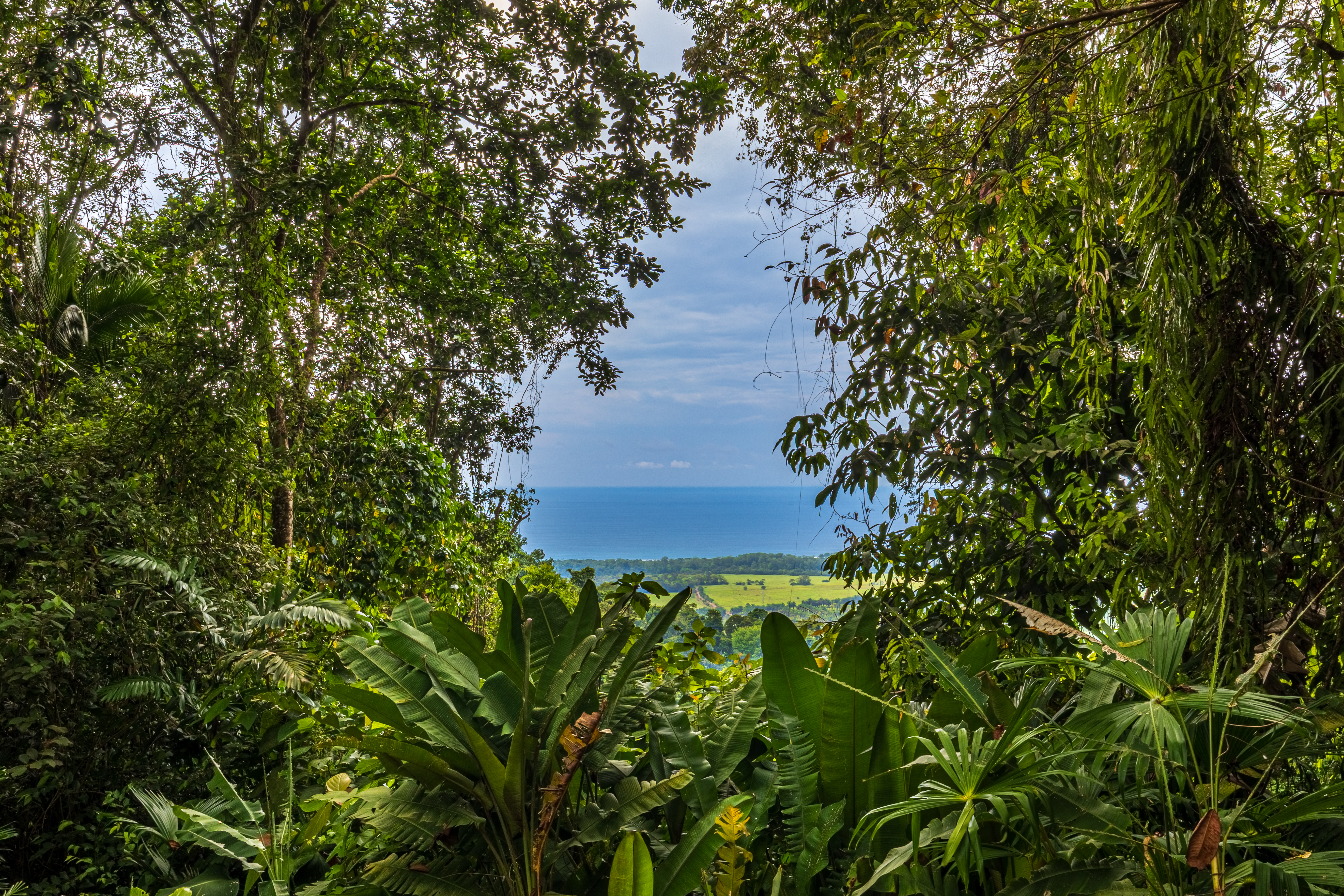 0 bed Land For Sale in Matapalo, Puntarenas - thumb 8