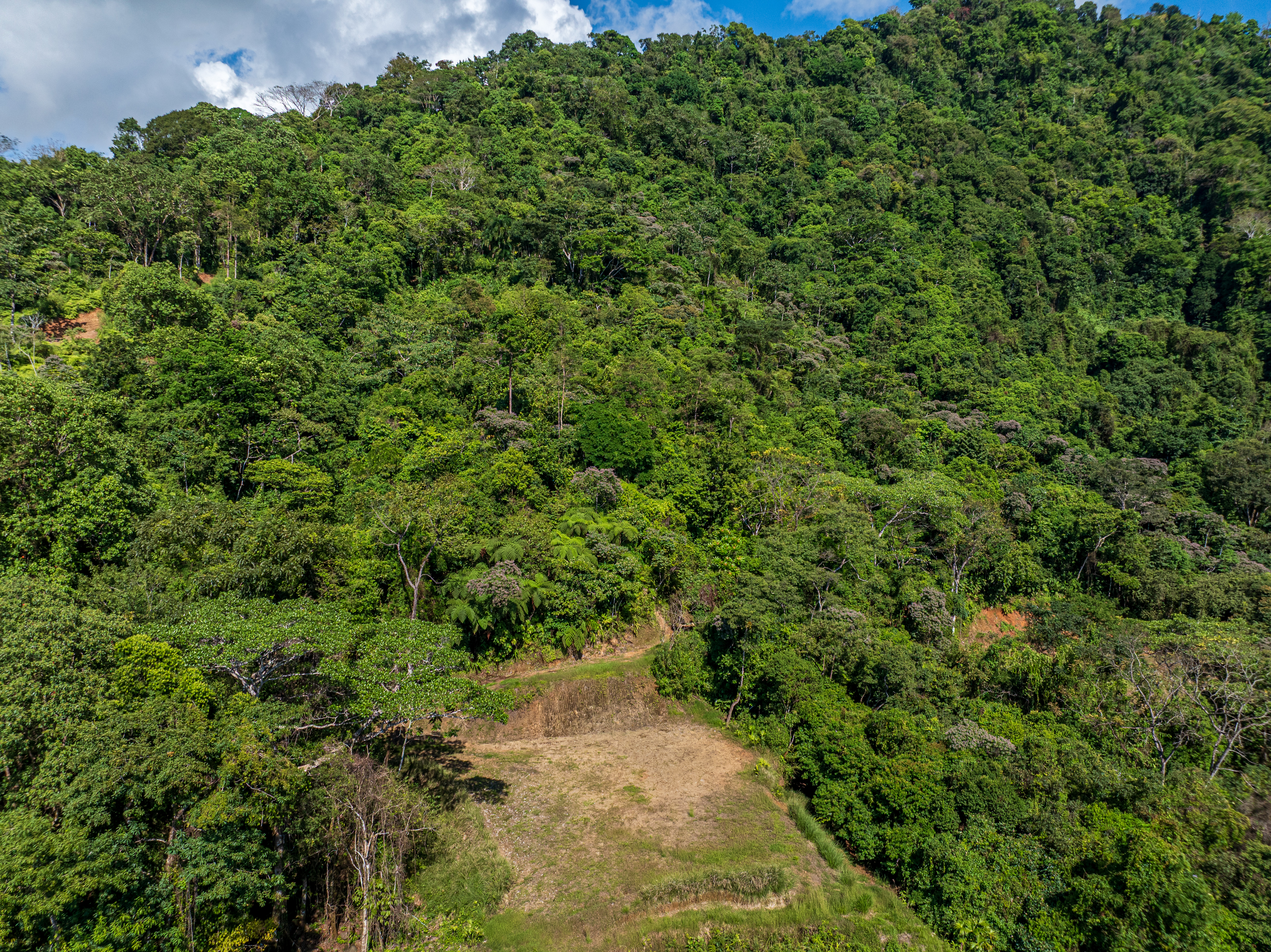 0 bed Land For Sale in Matapalo, Puntarenas - thumb 16